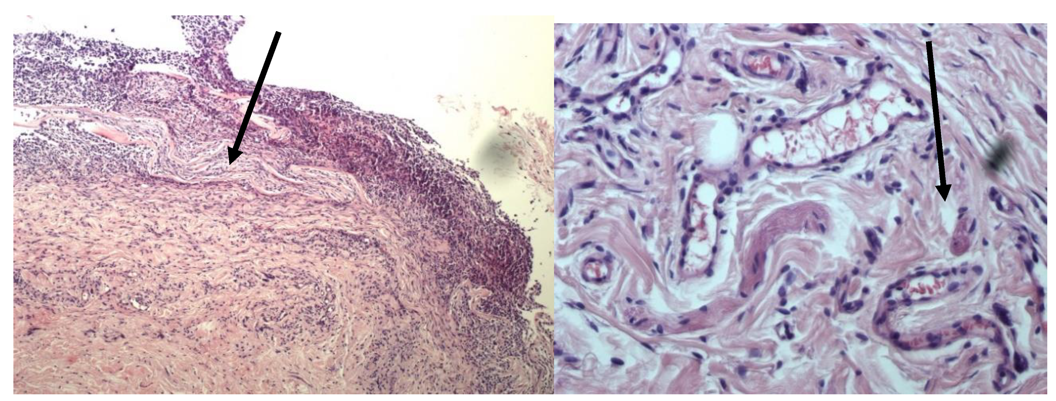 Preprints 188131 g002