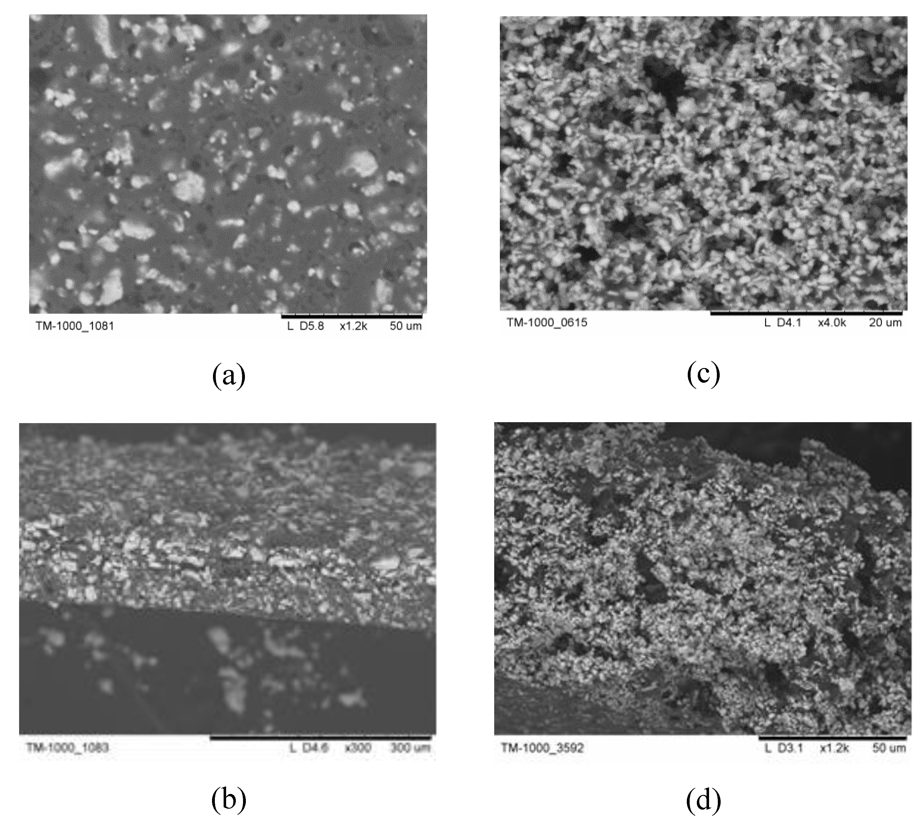 Preprints 73512 g003