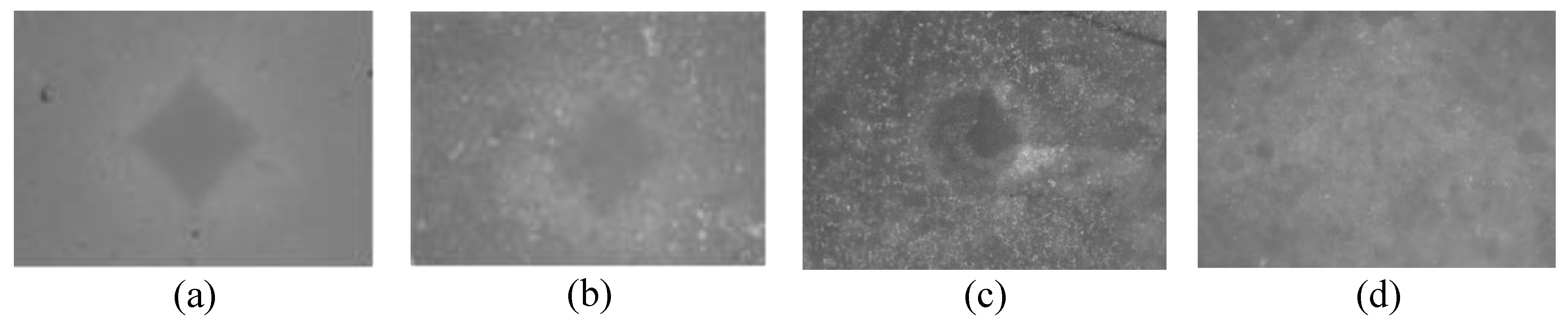 Preprints 73512 g004