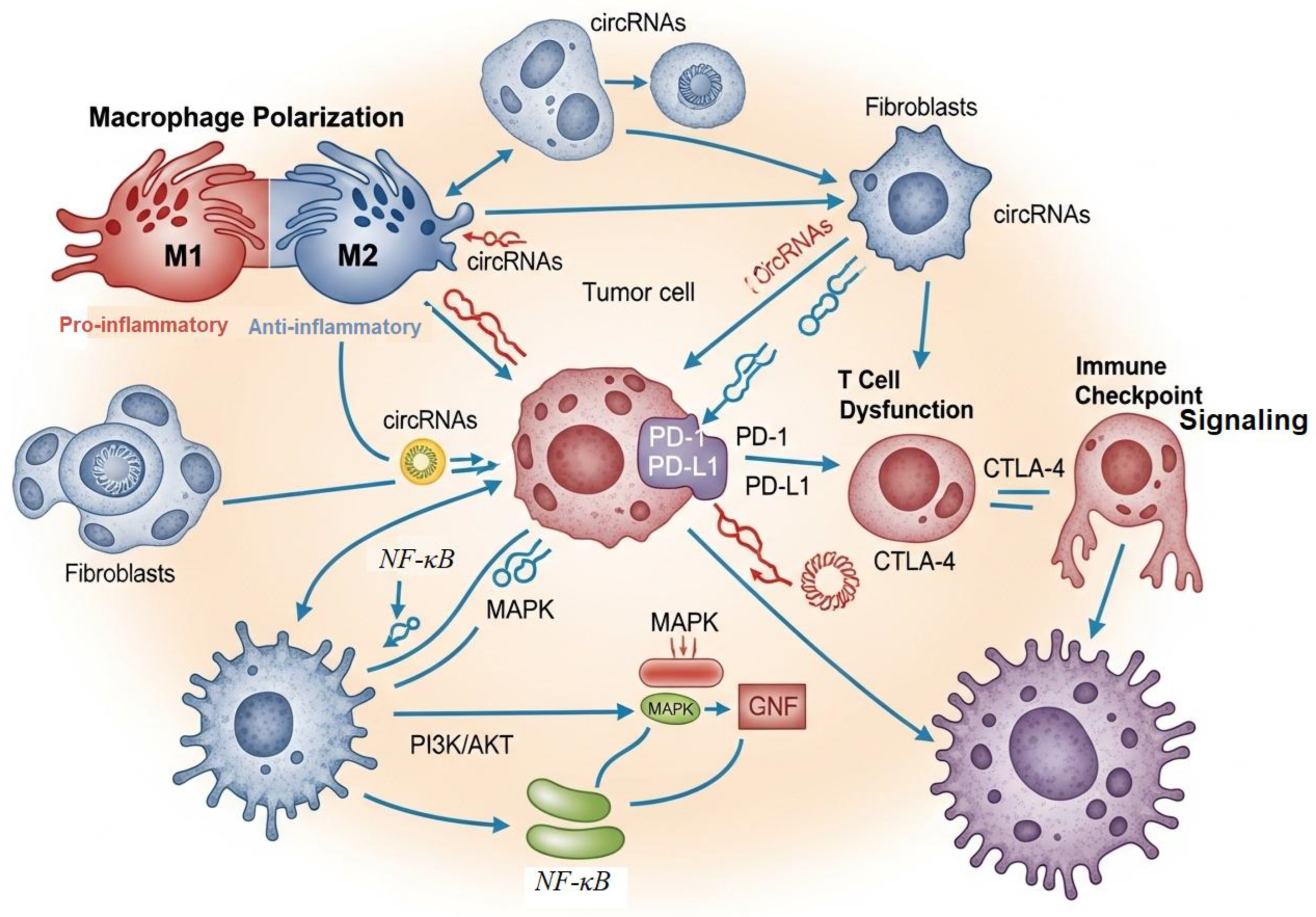 Preprints 190017 g003