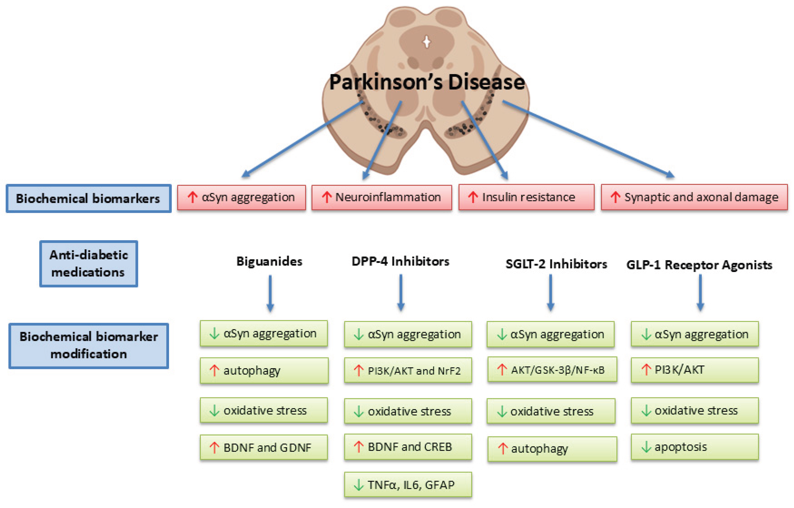 Preprints 197581 g001