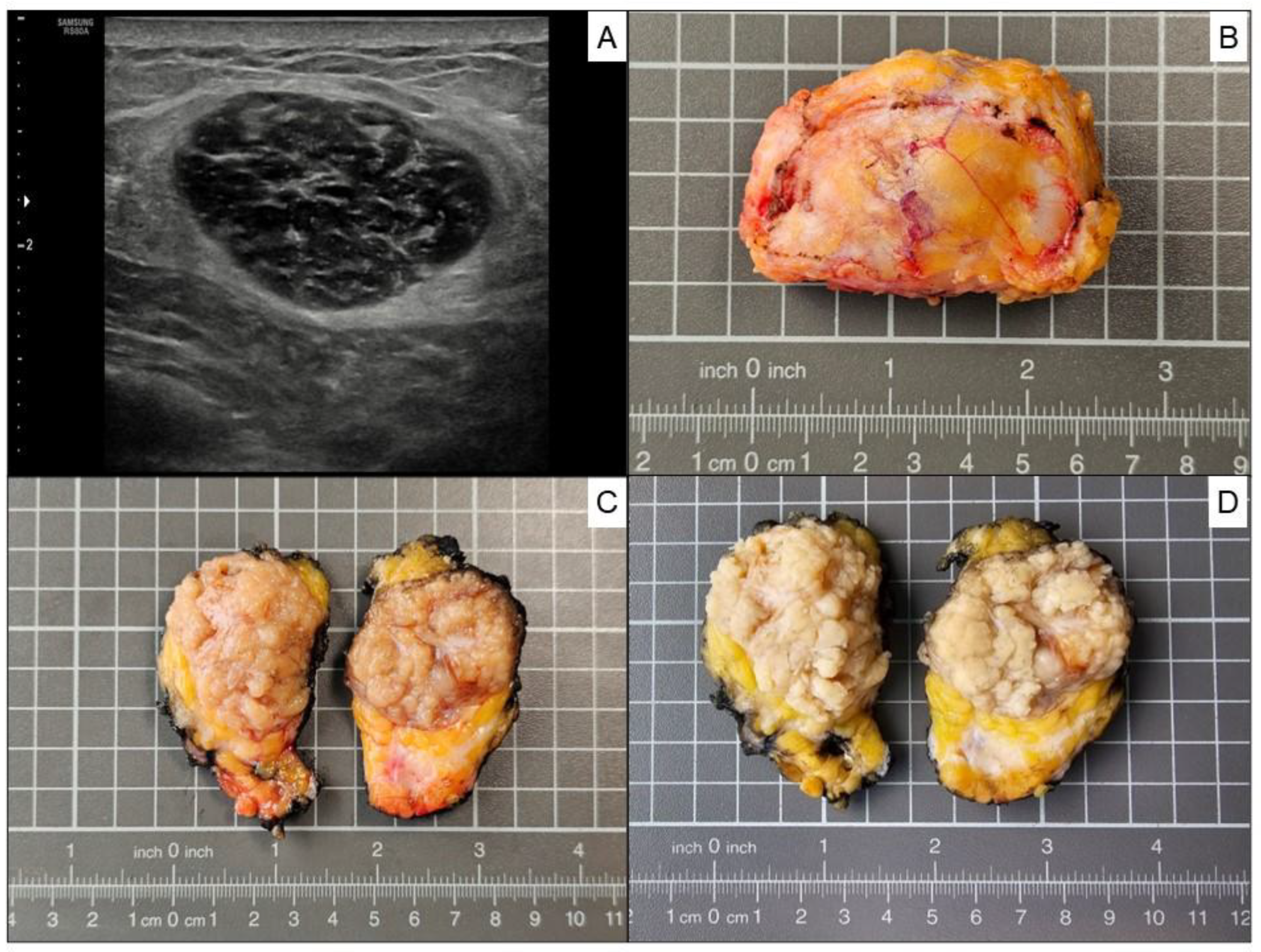 Preprints 193997 g002