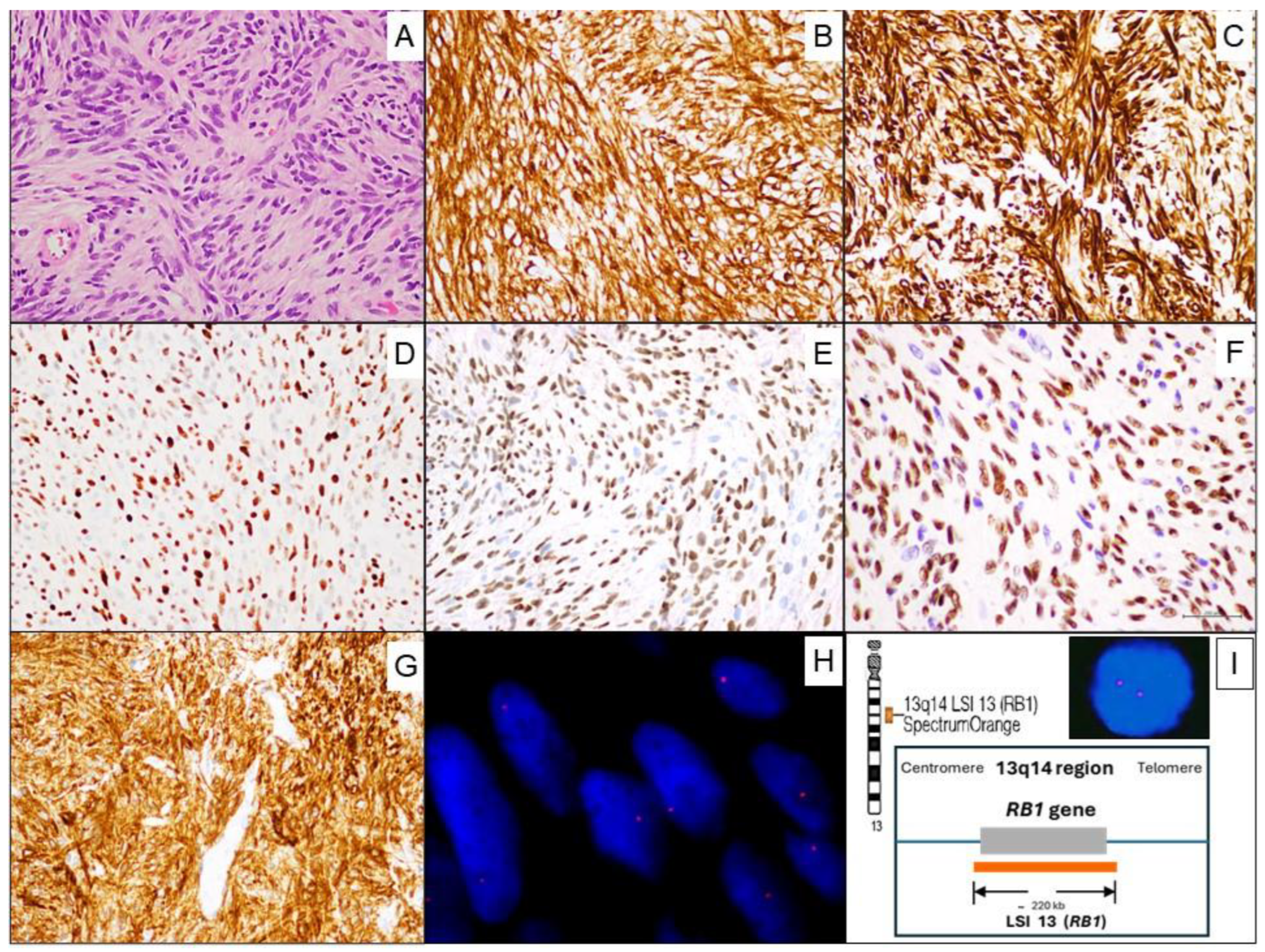 Preprints 193997 g003
