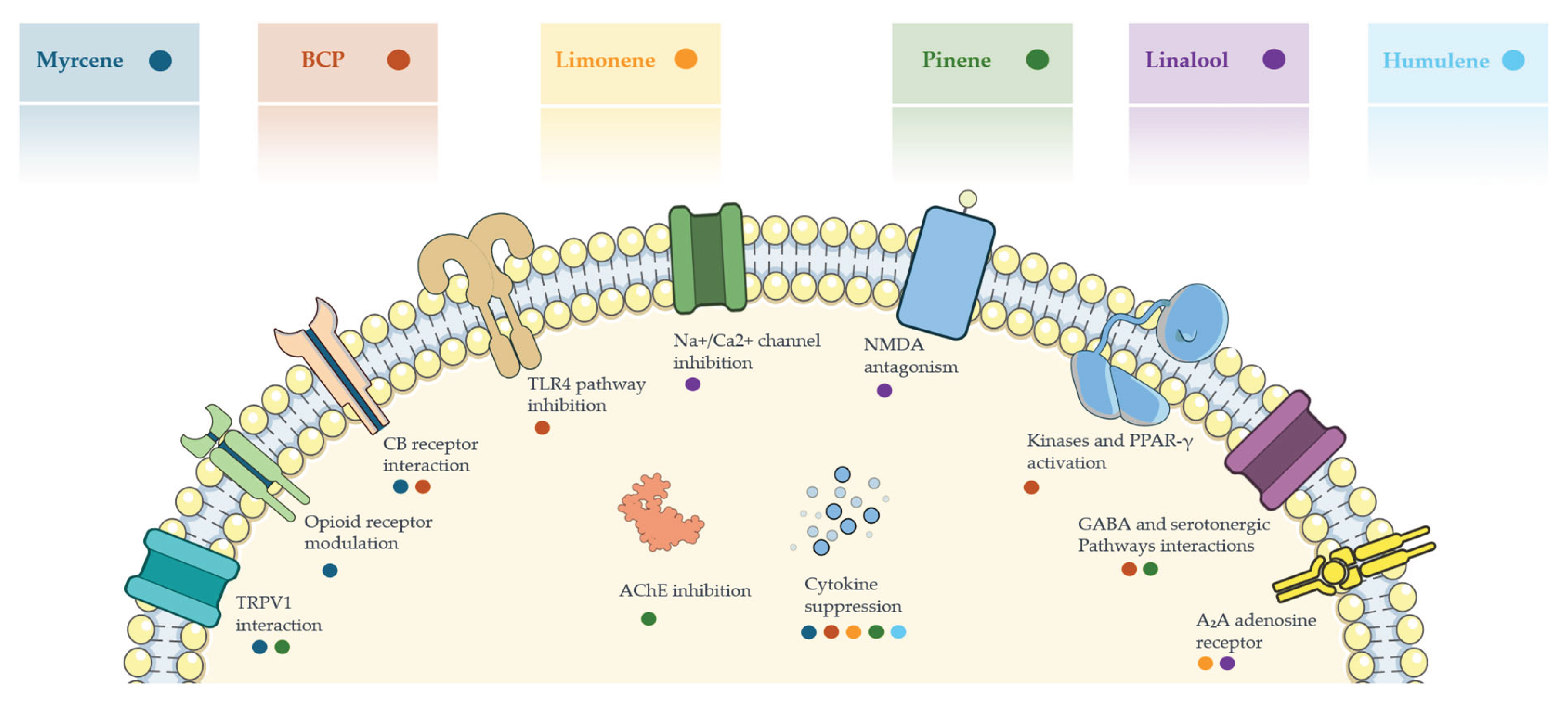 Preprints 164848 g001