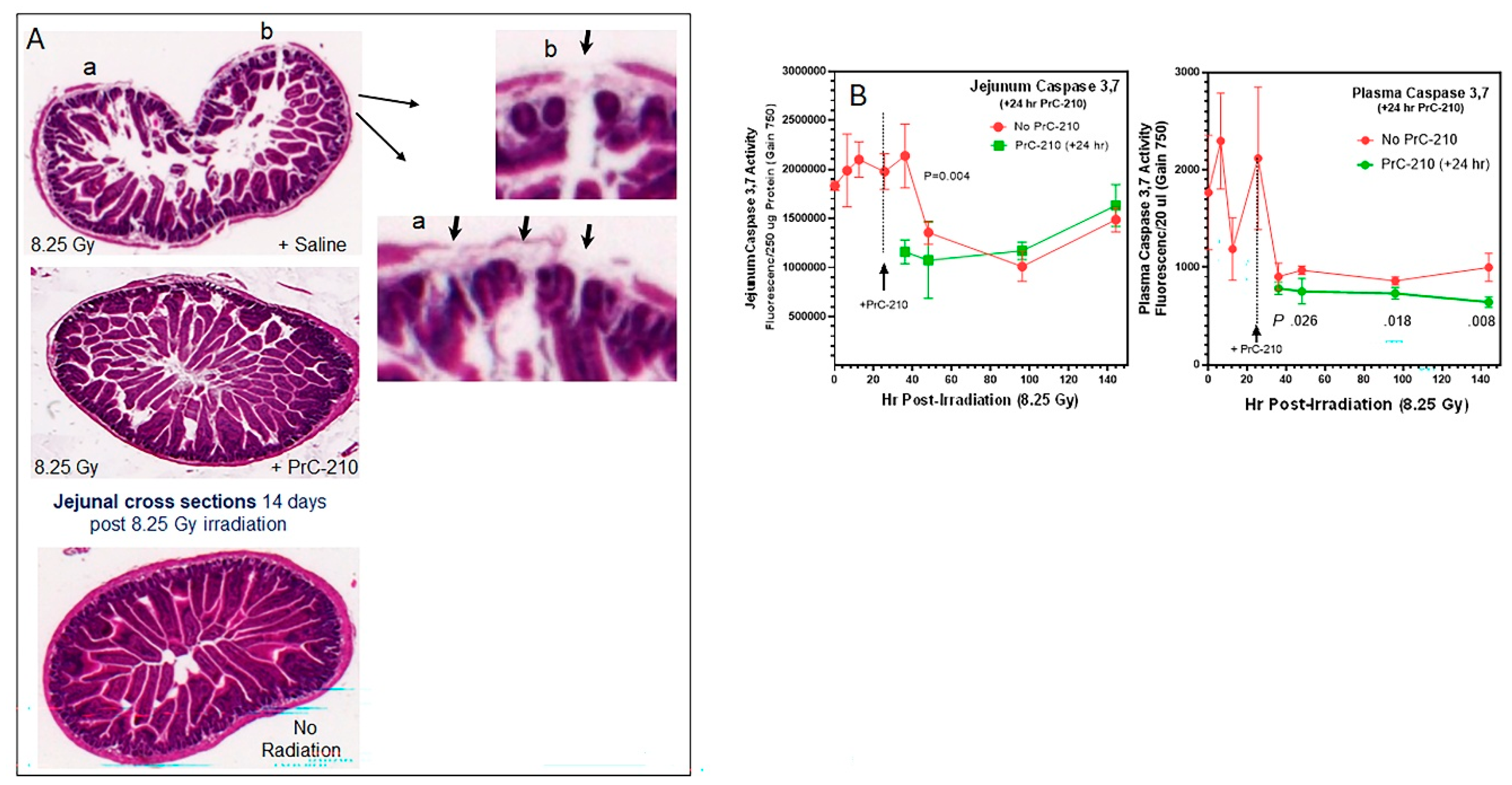 Preprints 198455 g003