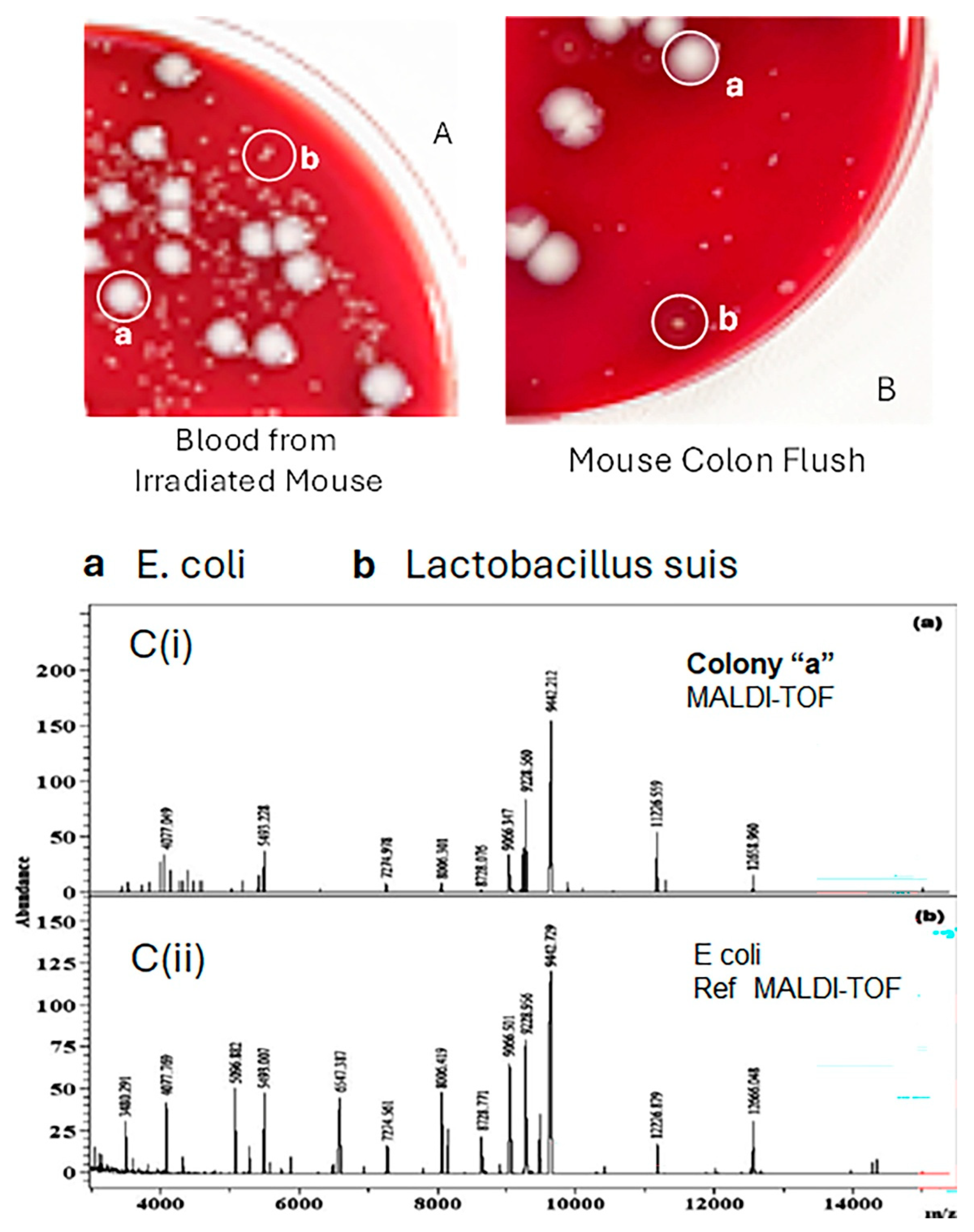 Preprints 198455 g005