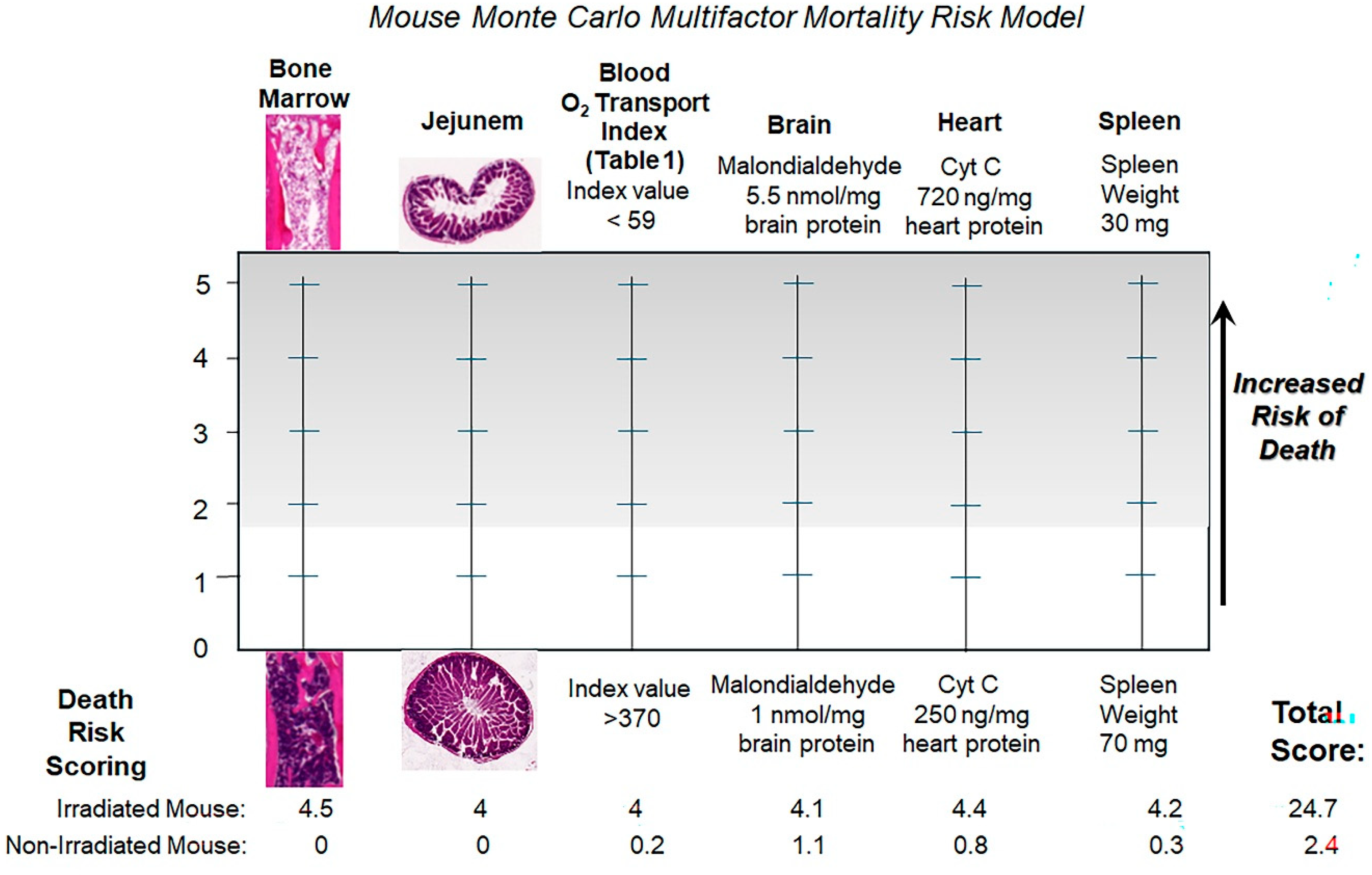 Preprints 198455 g012
