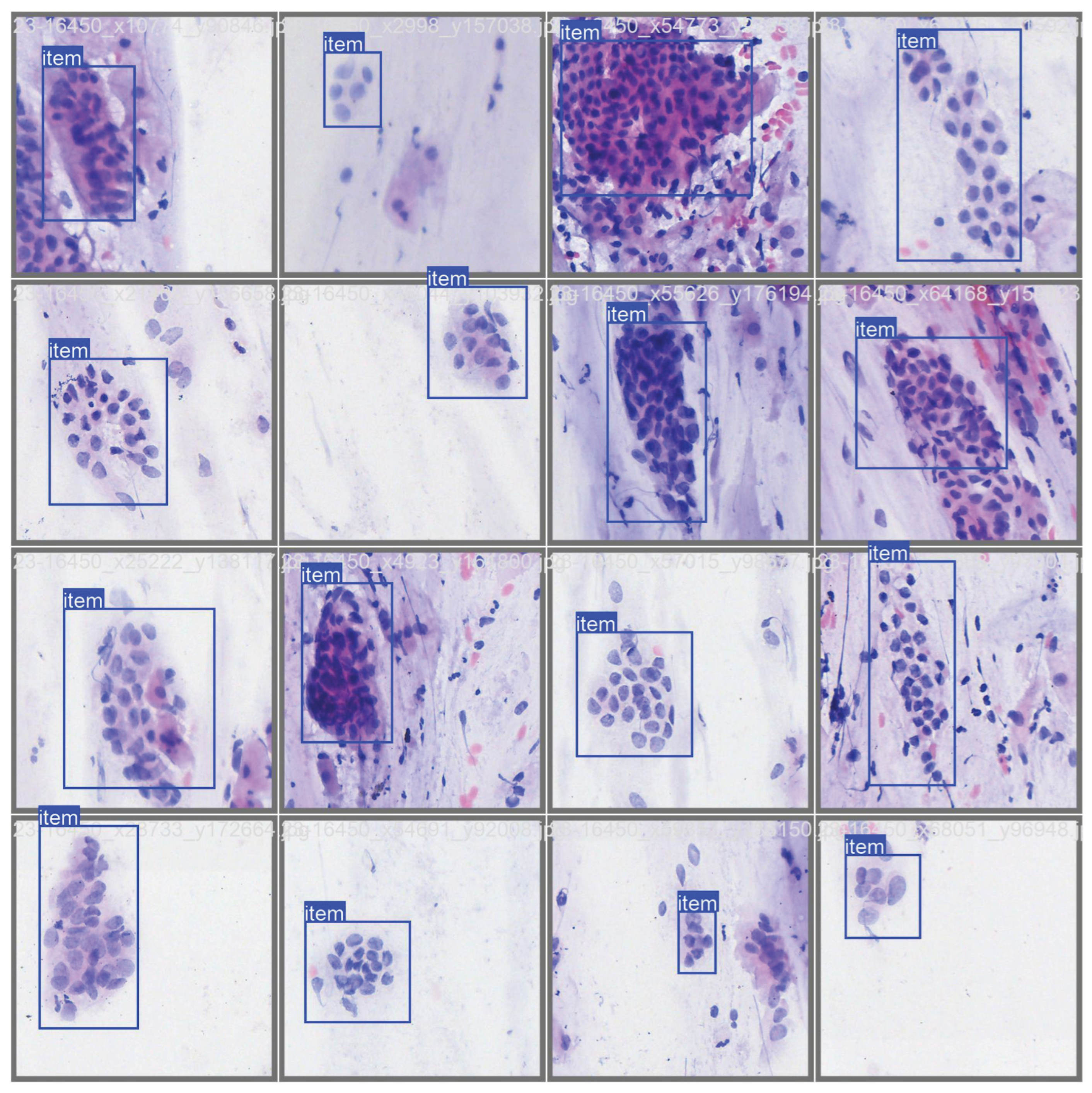 Preprints 207678 g002