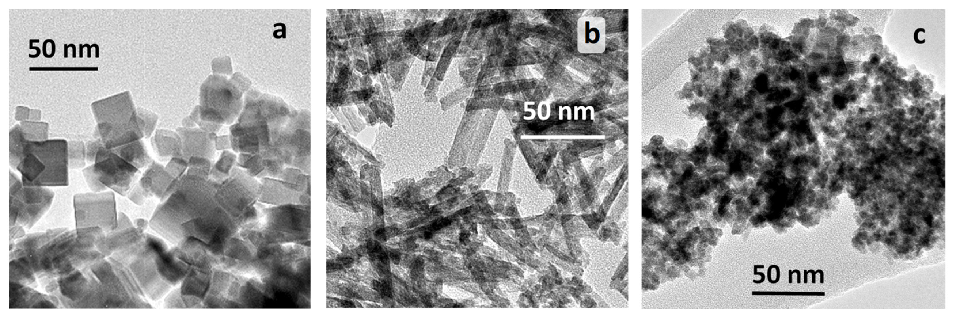 Preprints 91677 g001