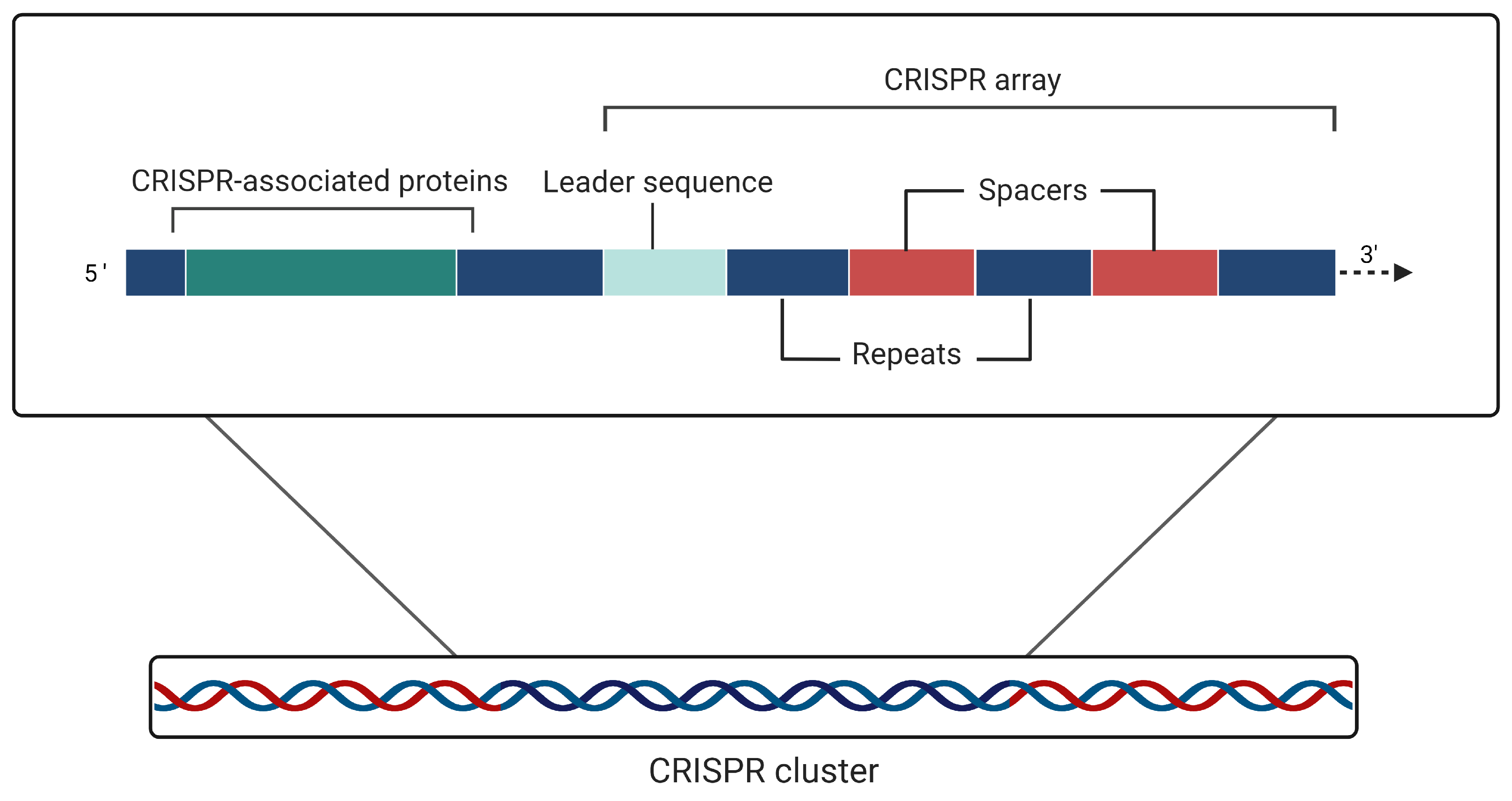 Preprints 71081 g001