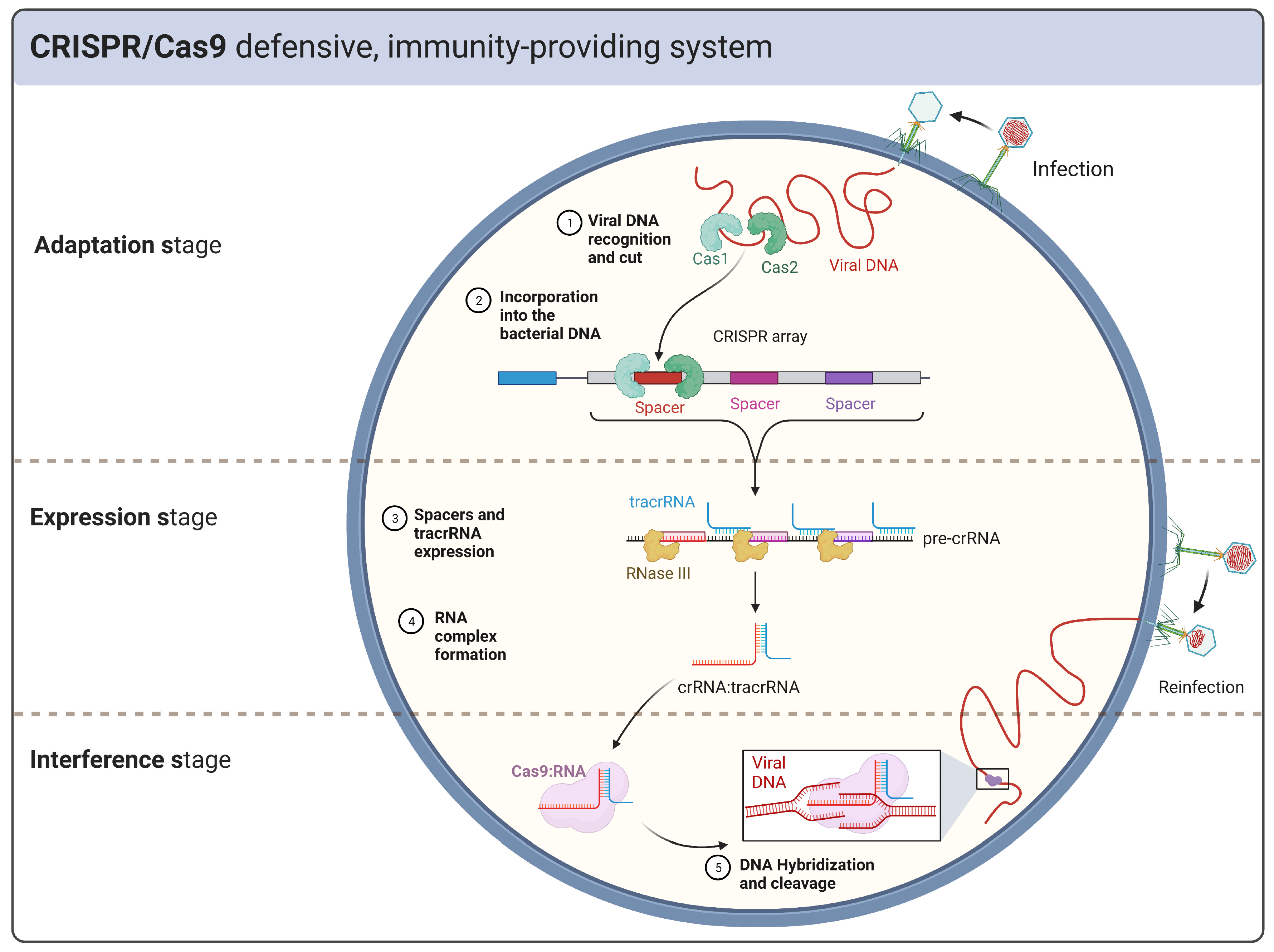 Preprints 71081 g002