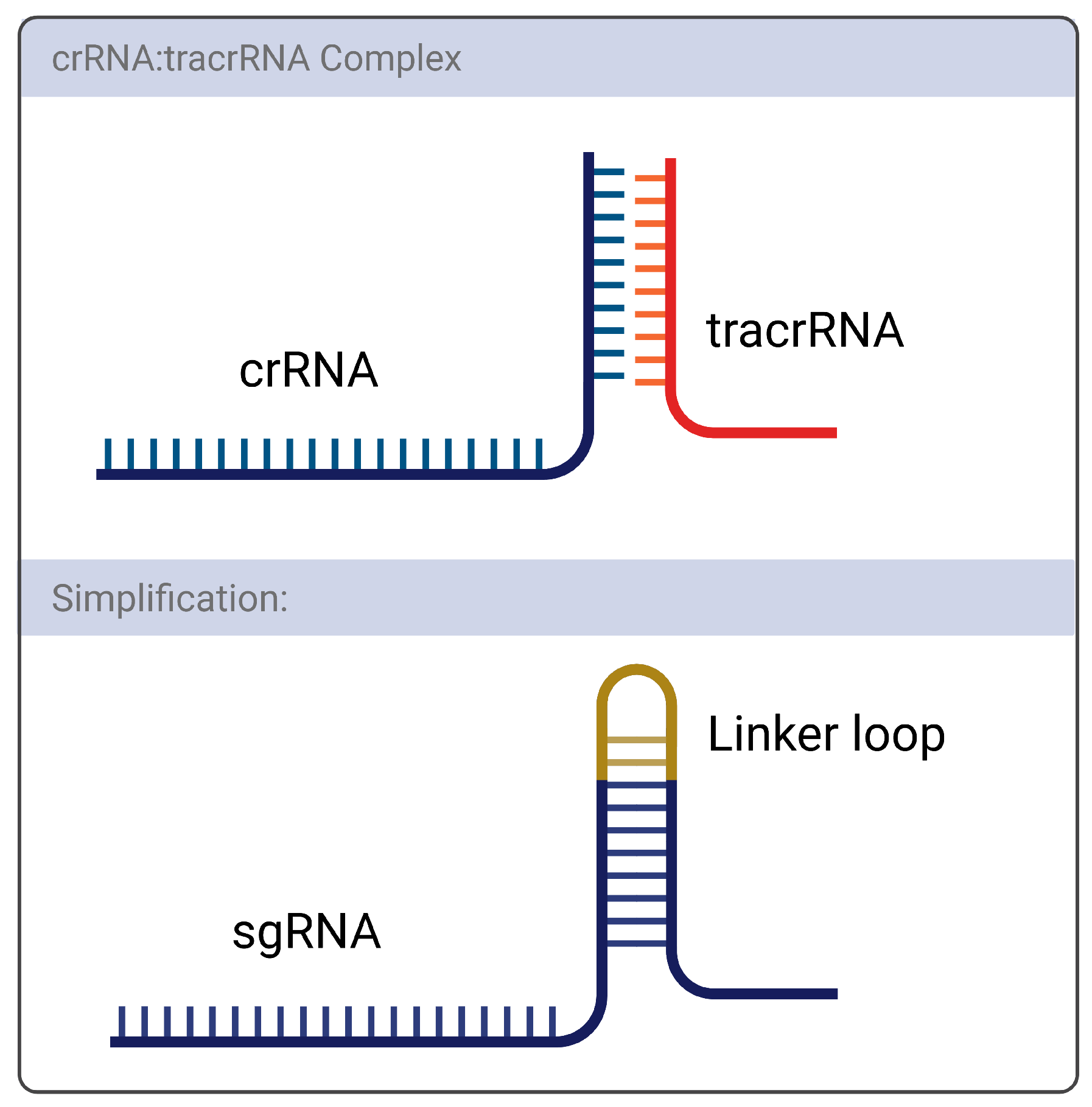 Preprints 71081 g003