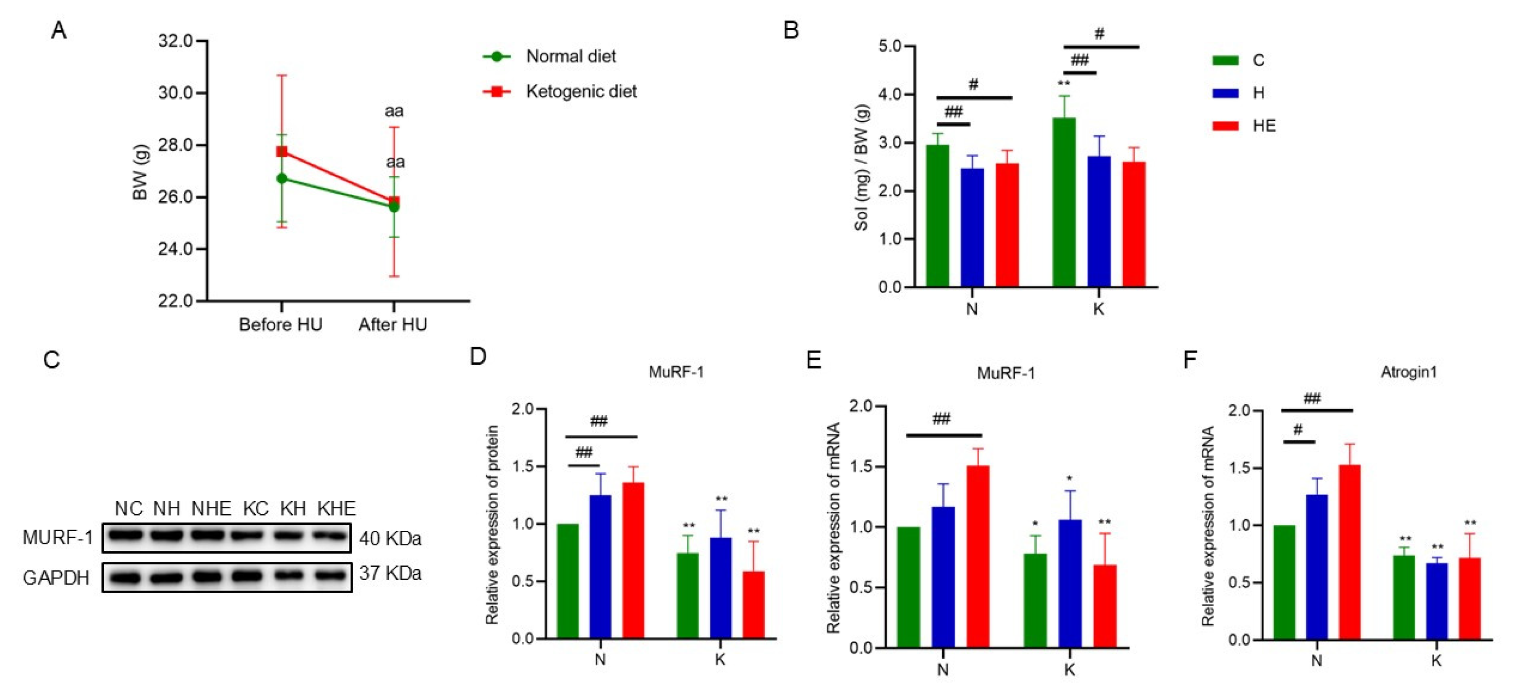 Preprints 146106 g003