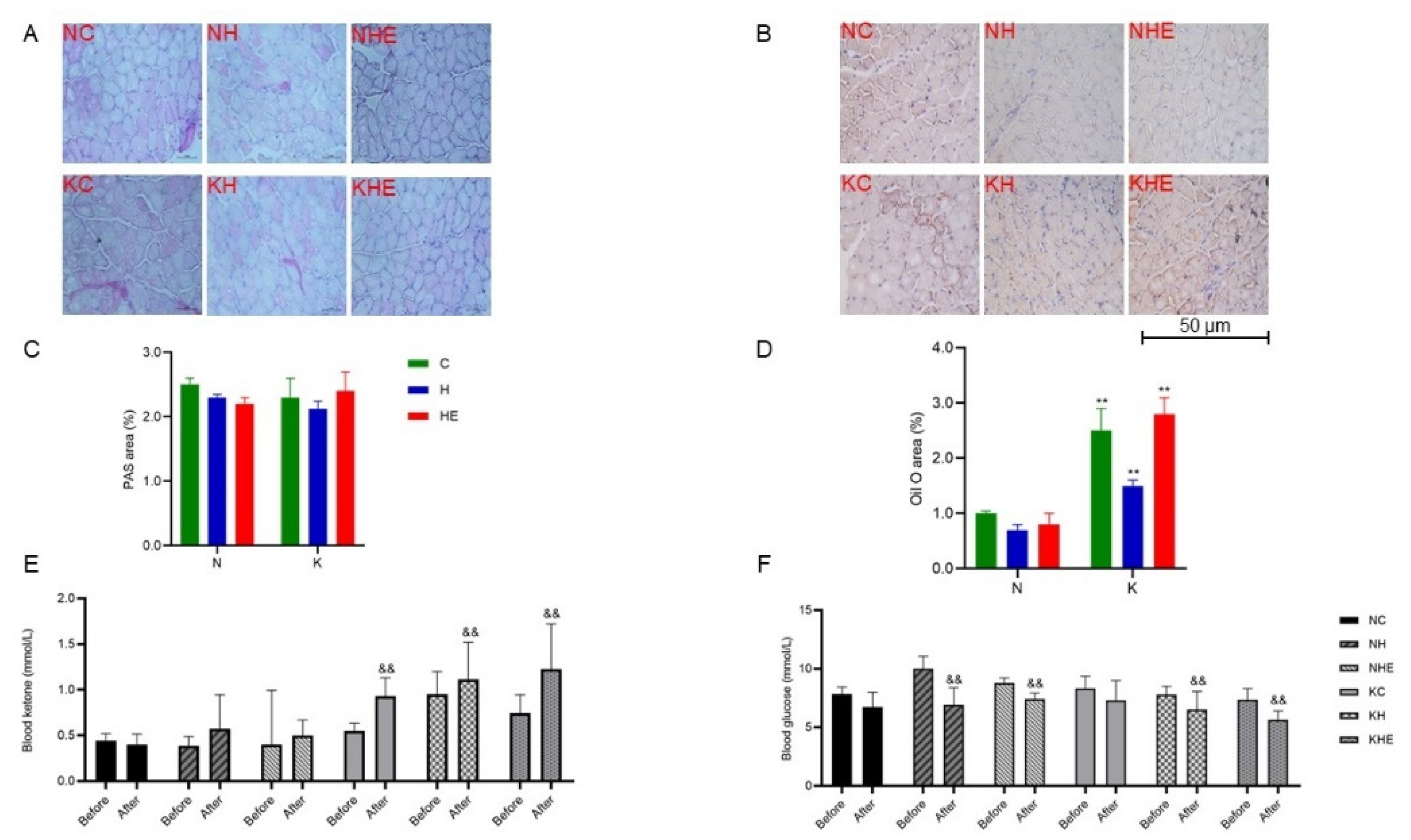 Preprints 146106 g004