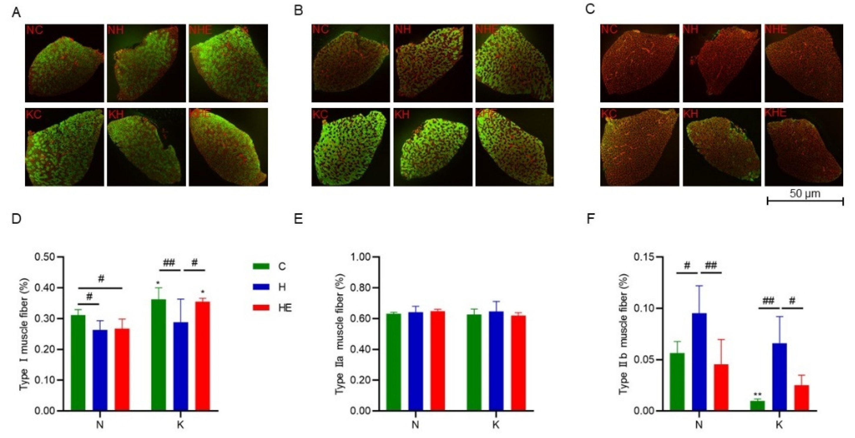 Preprints 146106 g005