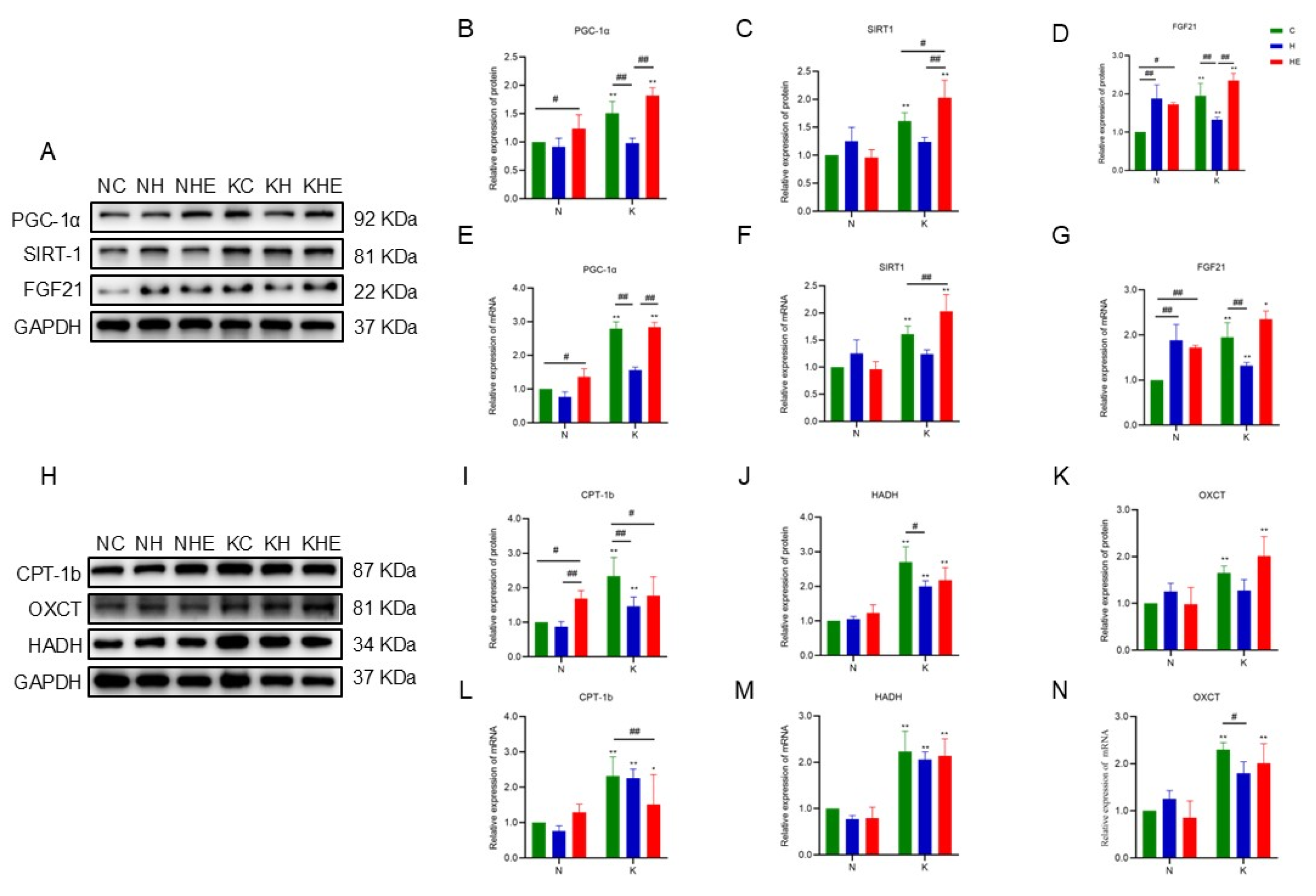 Preprints 146106 g006
