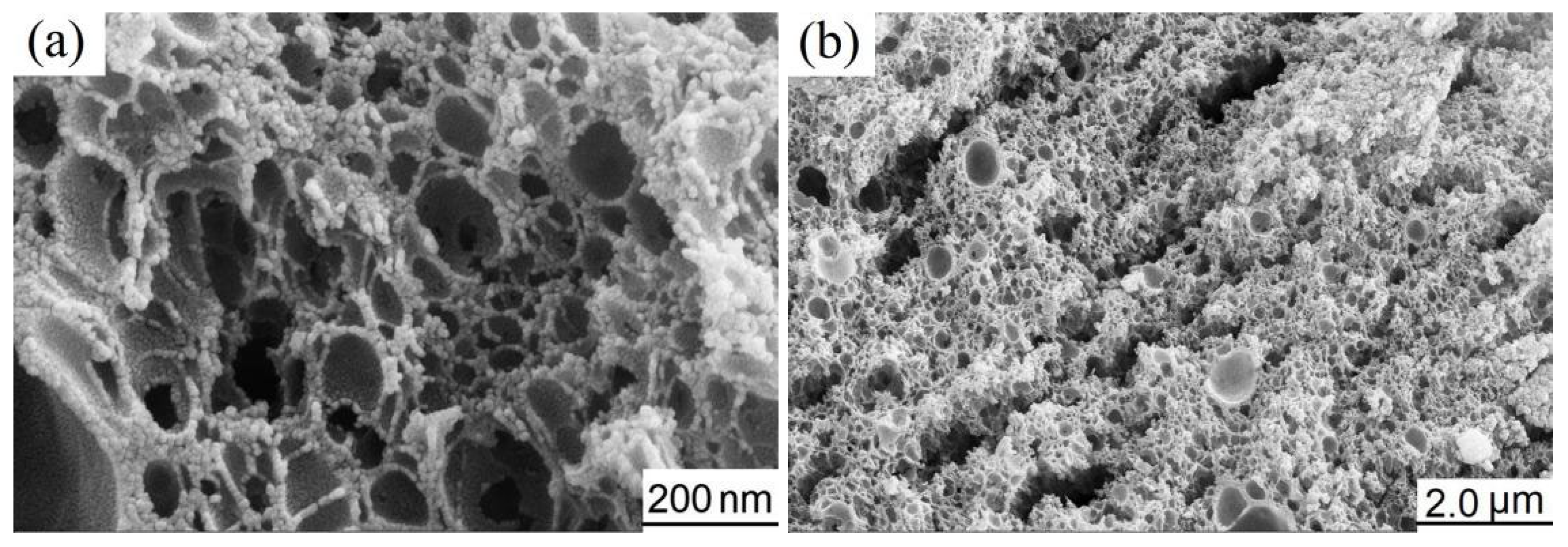 Preprints 190887 g002