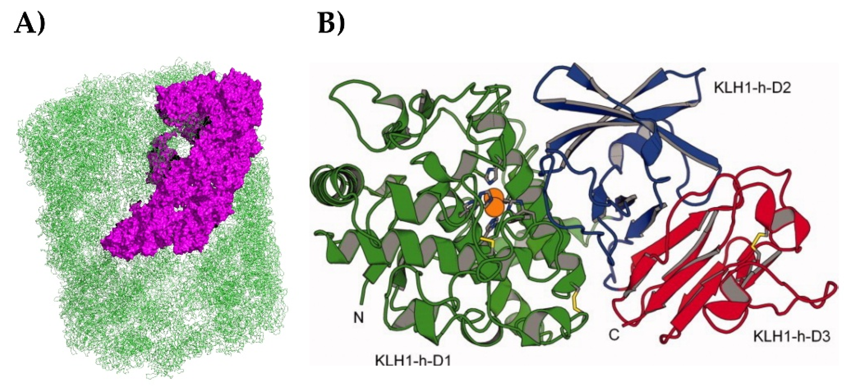Preprints 229811 g001 Preprints 229811 g001