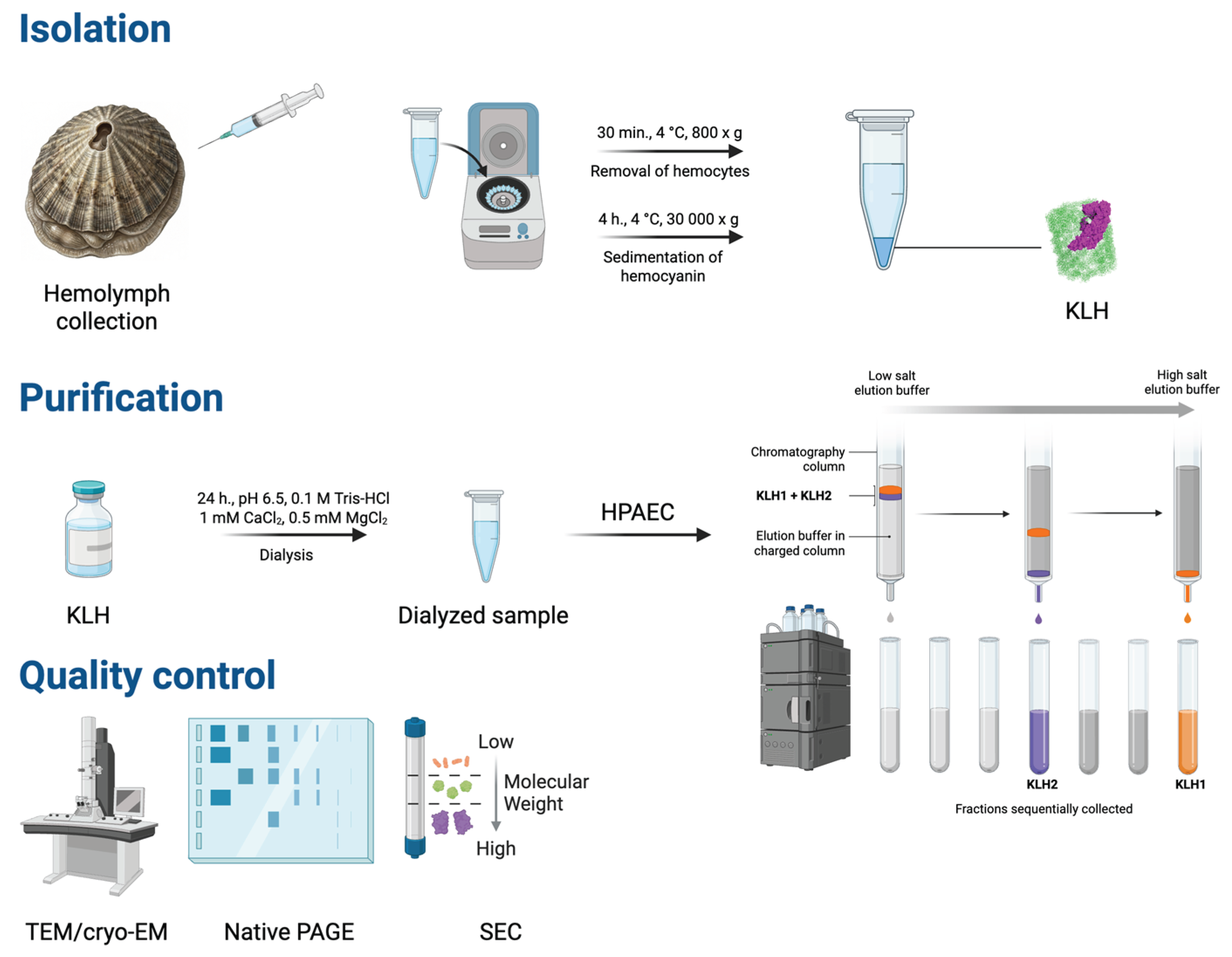 Preprints 229811 g002 Preprints 229811 g002