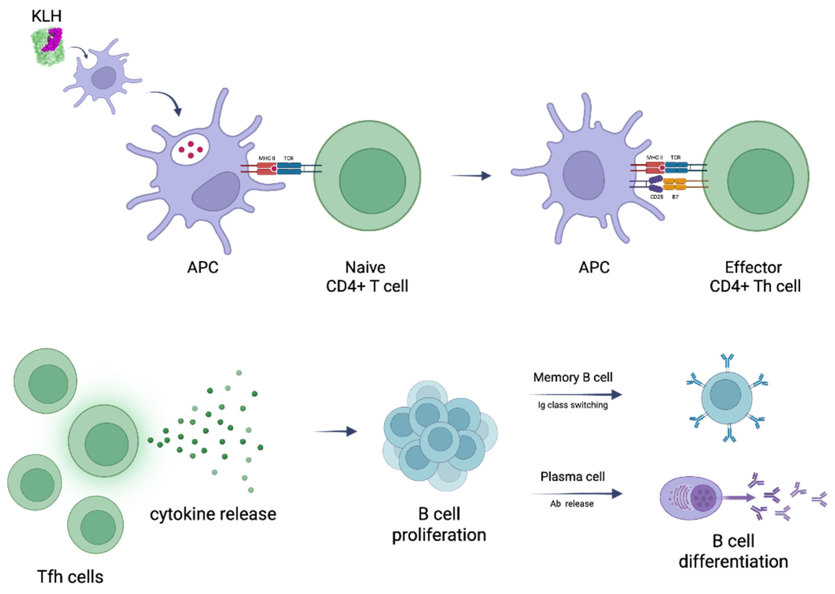 Preprints 229811 g003 Preprints 229811 g003