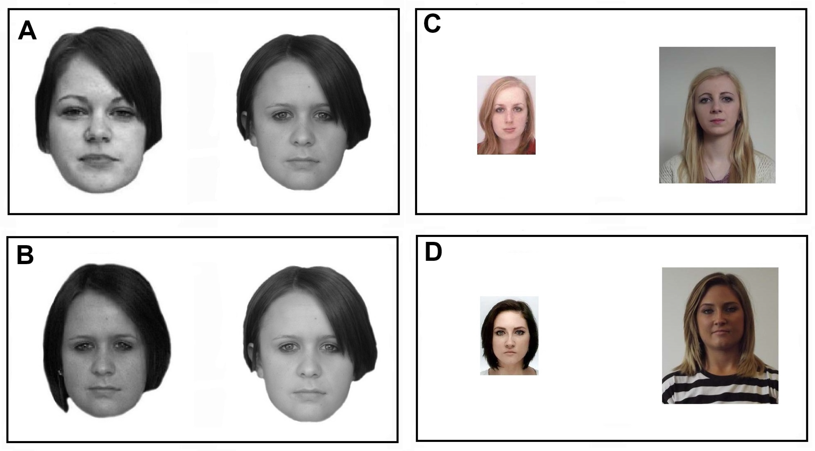 Preprints 148106 g004