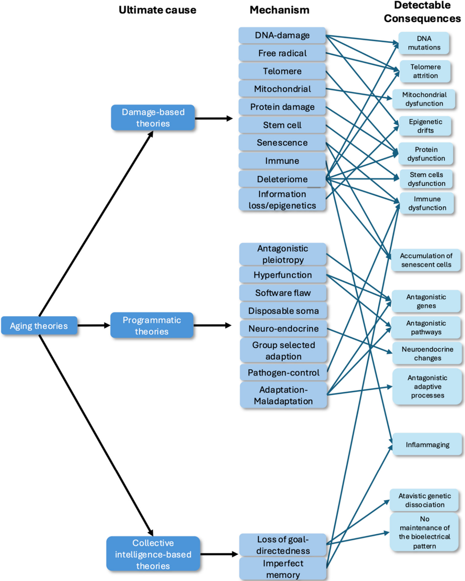 Preprints 234426 g001