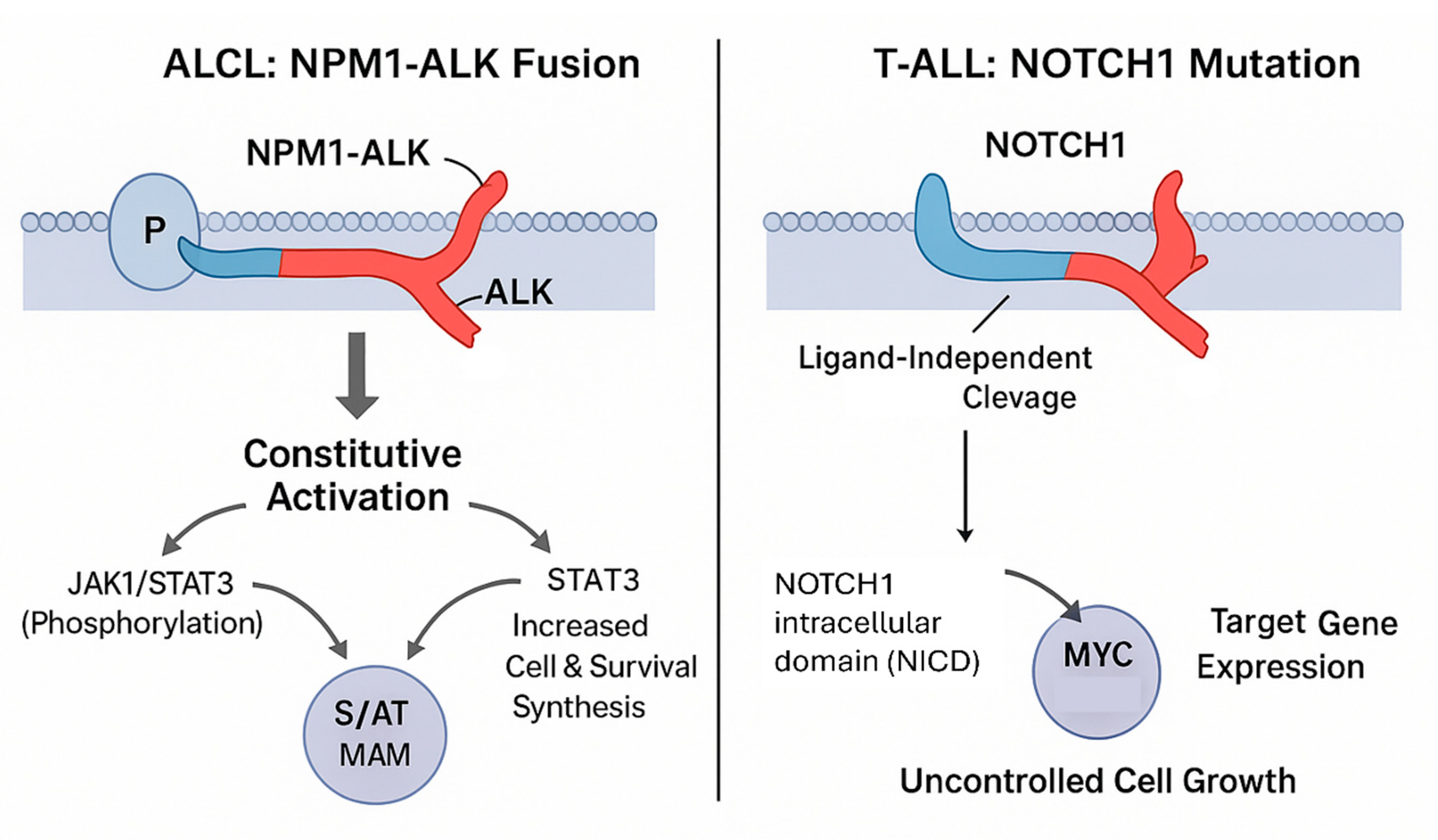 Preprints 195216 g002