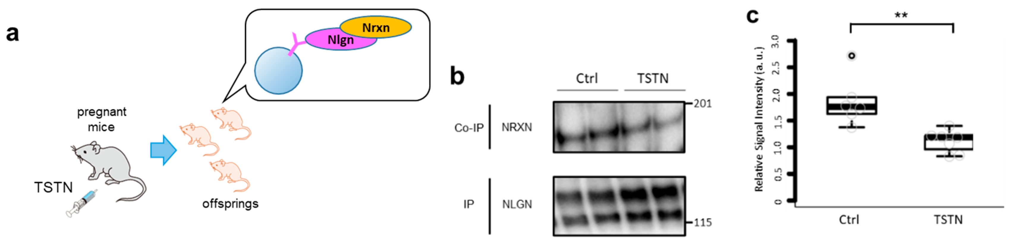 Preprints 164839 g001