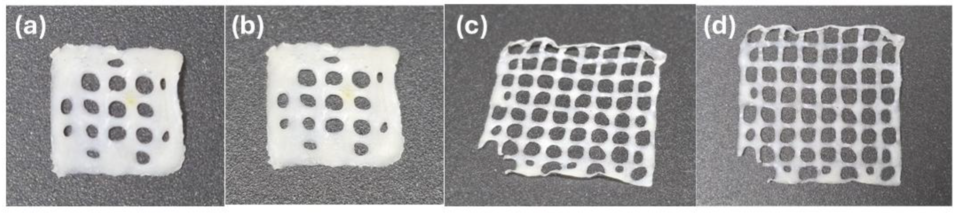 Preprints 152310 g010