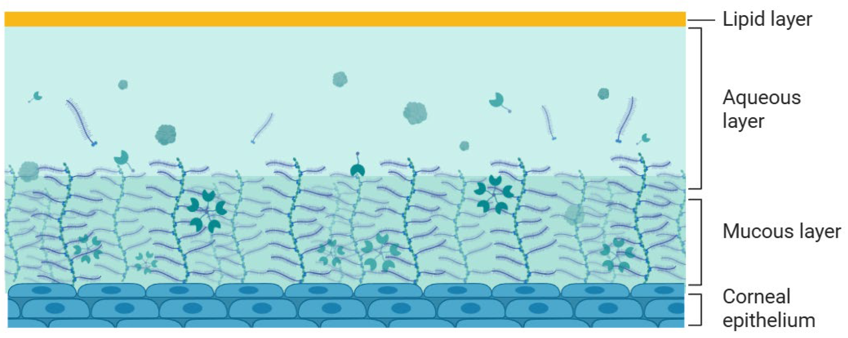 Preprints 181747 g003