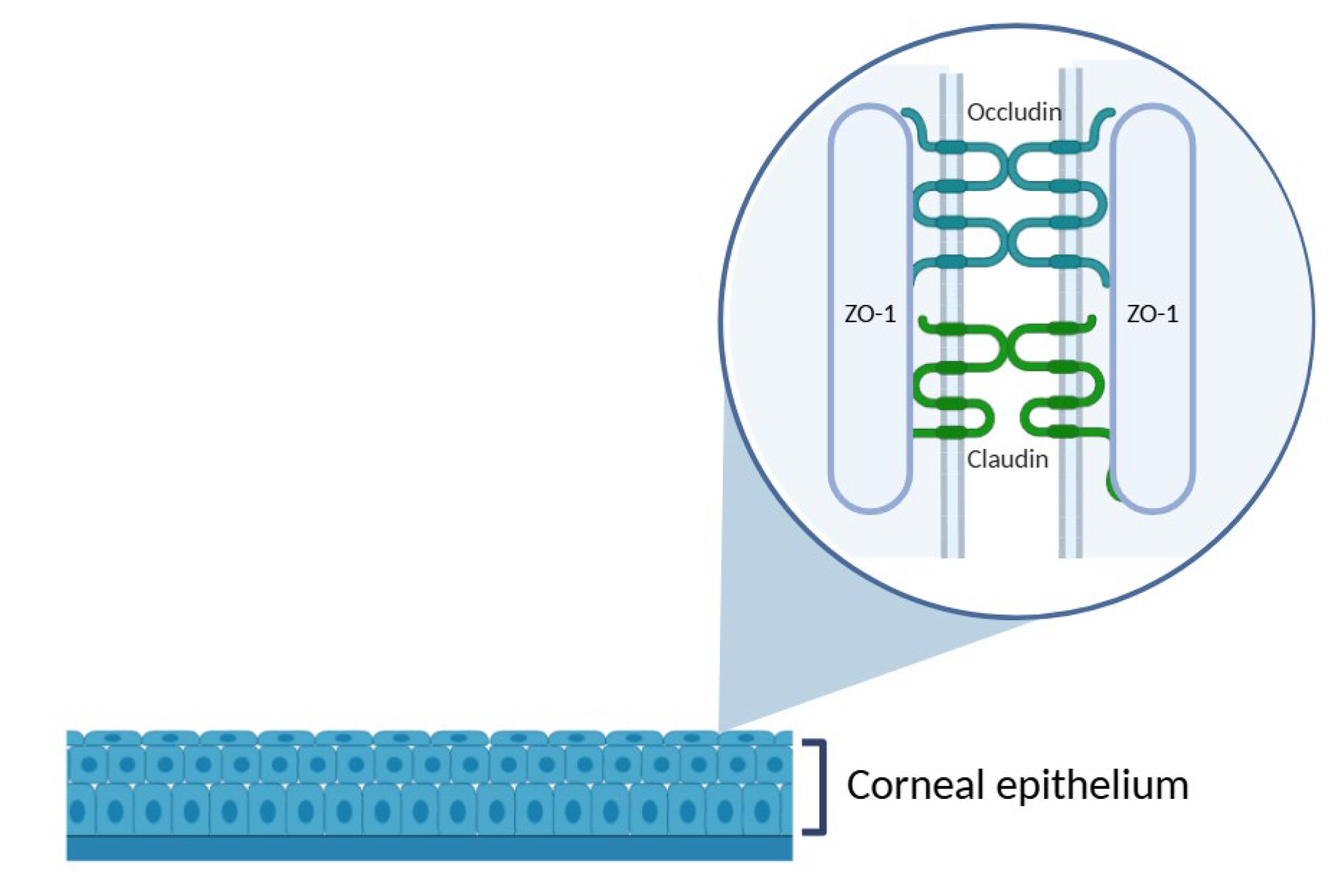 Preprints 181747 g004