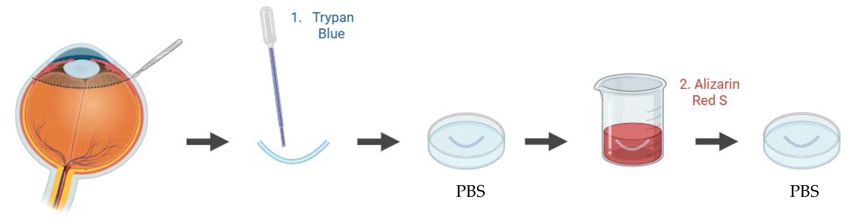 Preprints 181747 g006