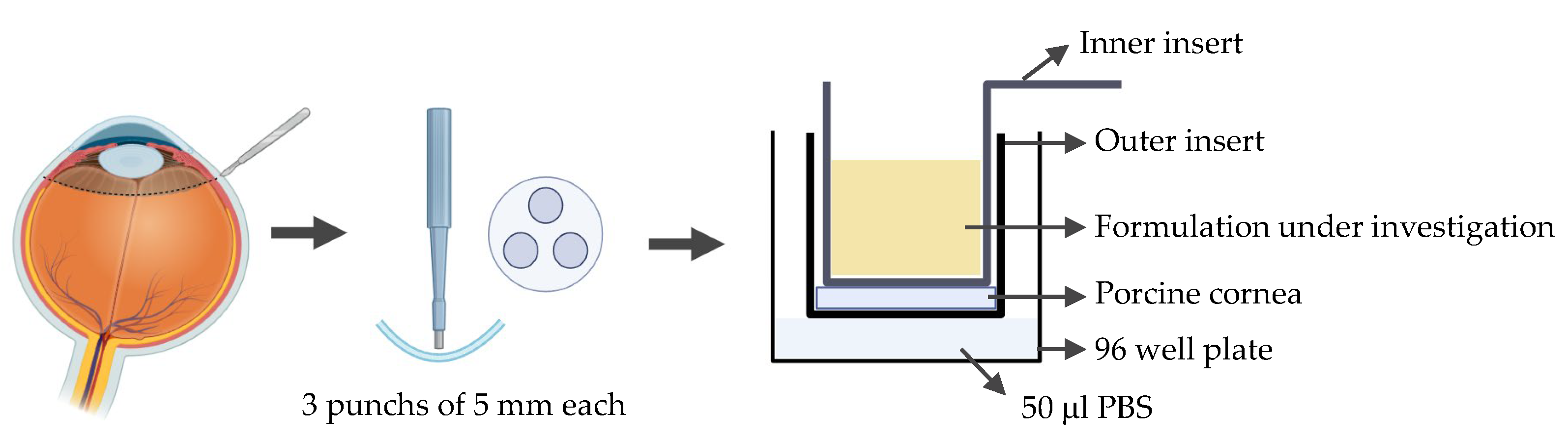 Preprints 181747 g008