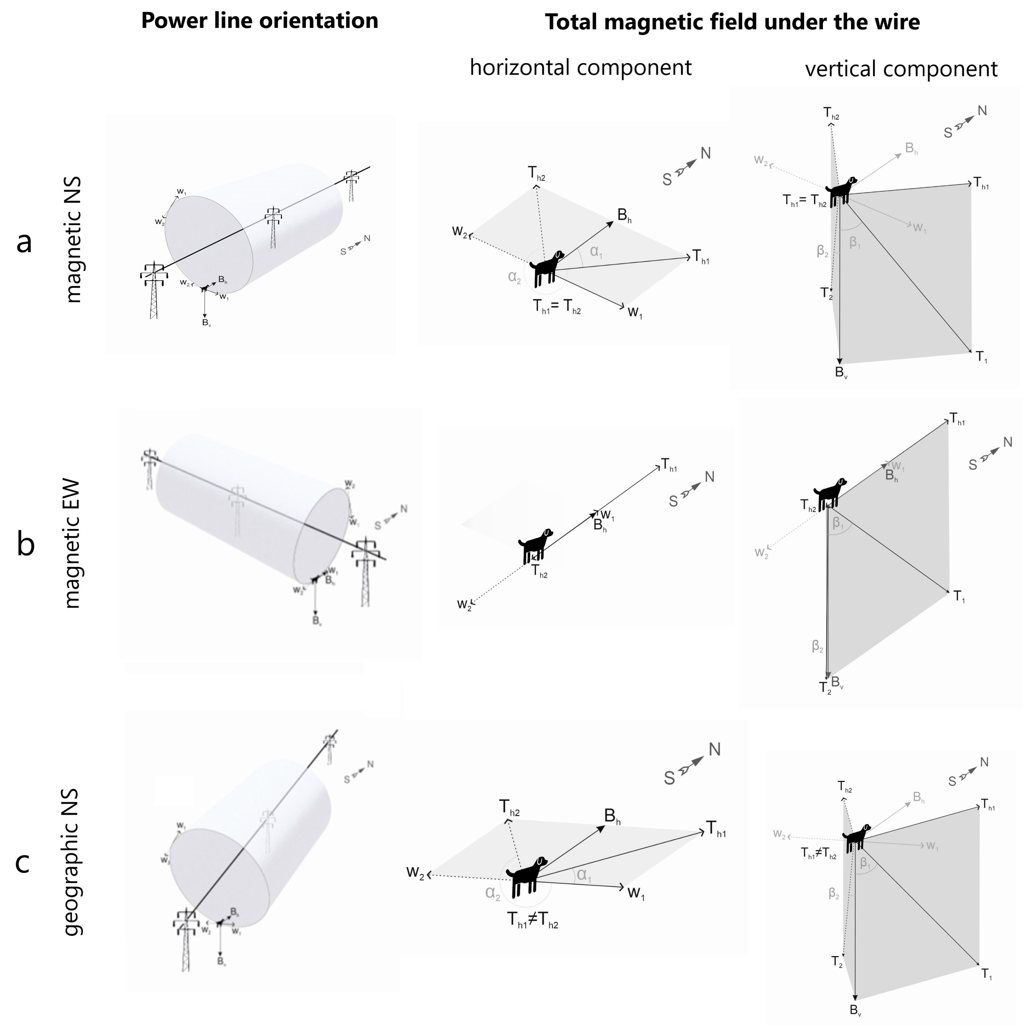 Preprints 181058 g002