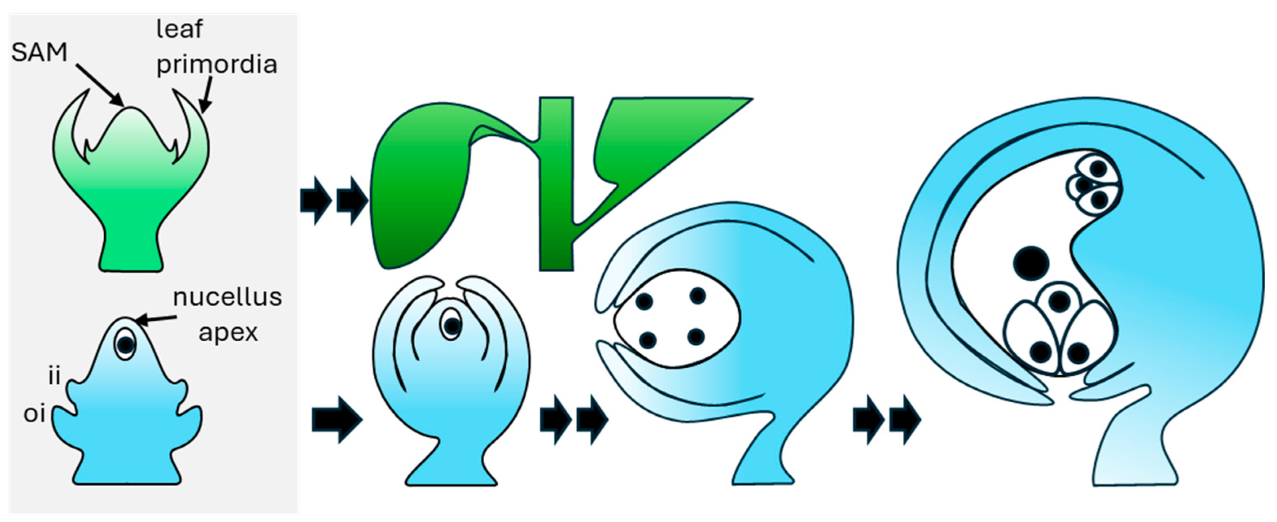 Preprints 199998 g001