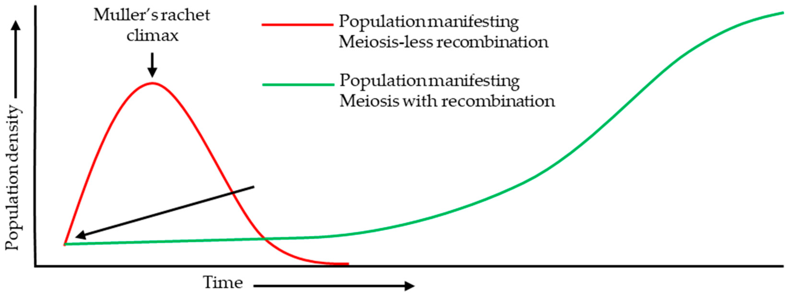 Preprints 199998 g002