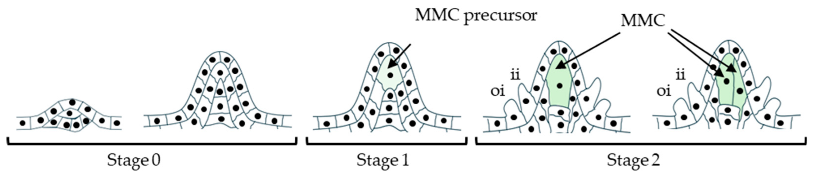 Preprints 199998 g003