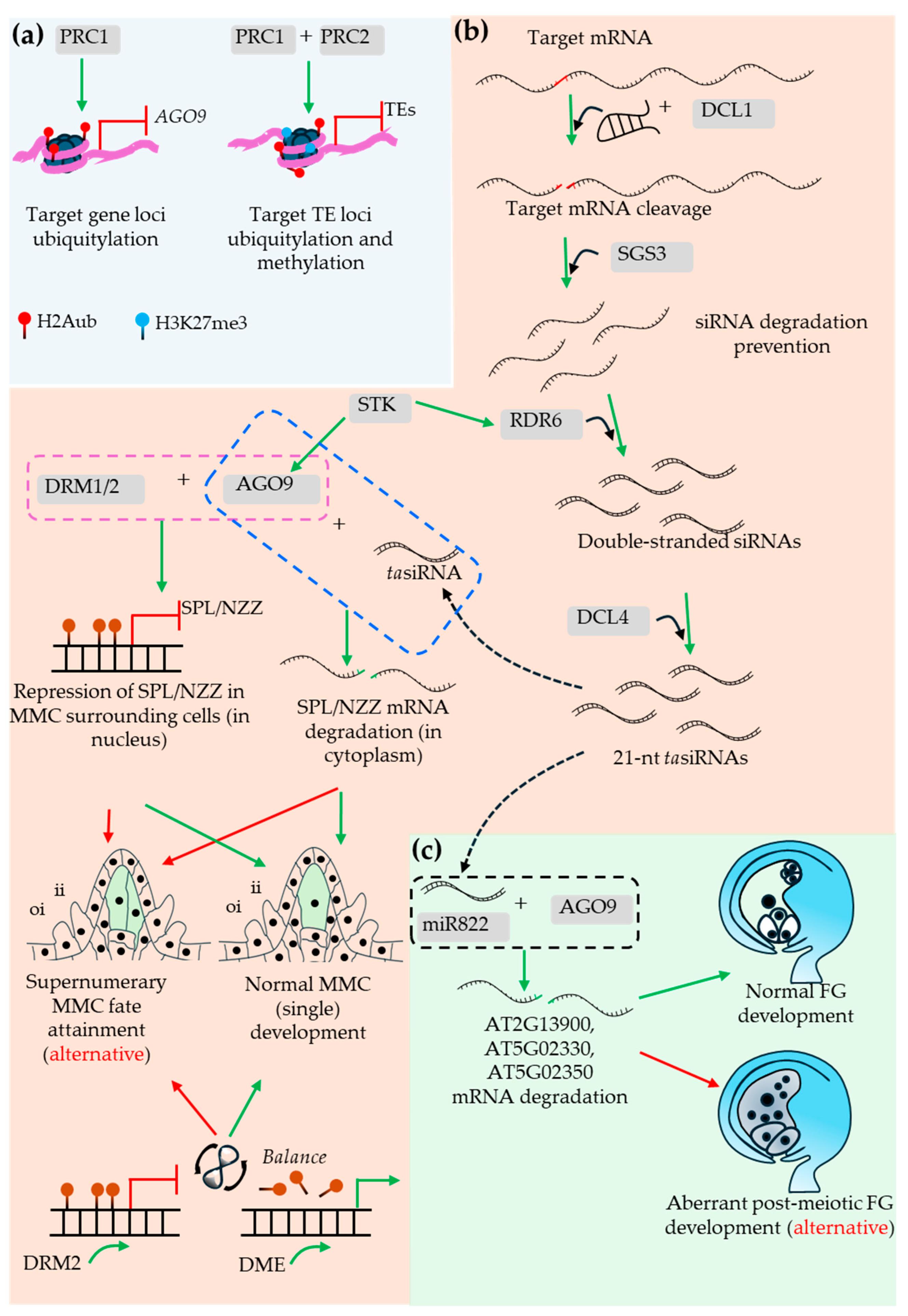 Preprints 199998 g004