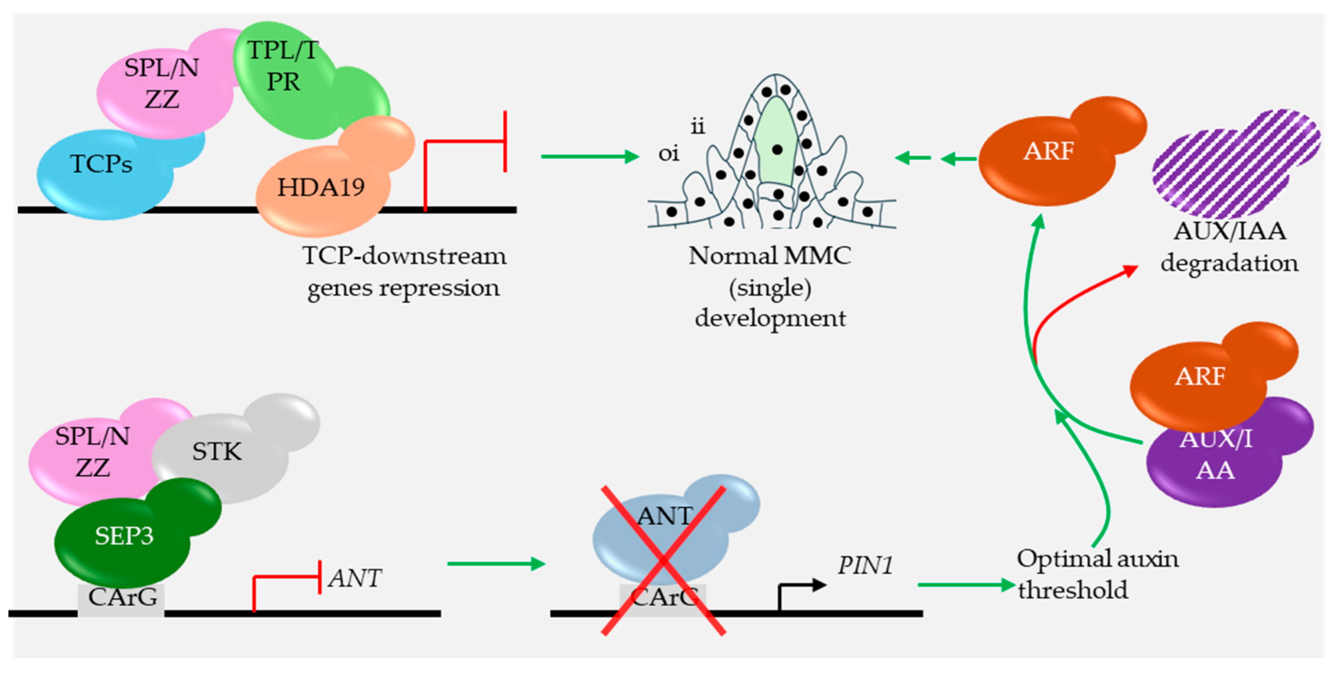 Preprints 199998 g005