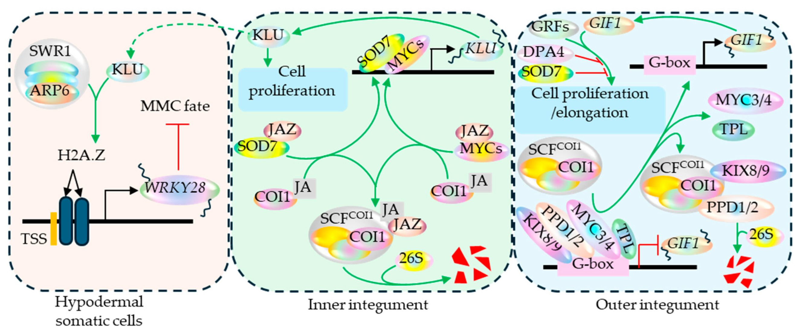 Preprints 199998 g006