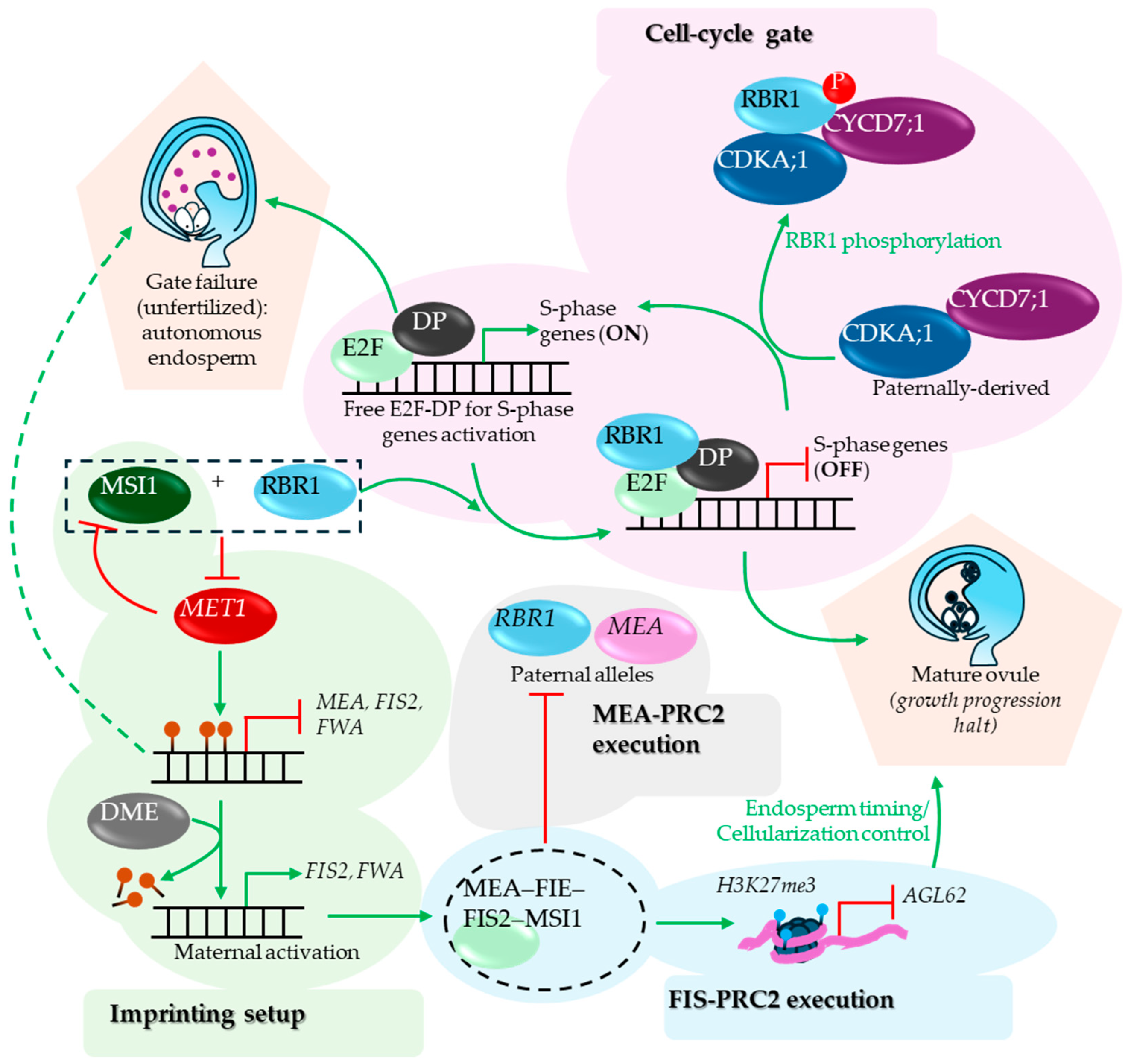 Preprints 199998 g007