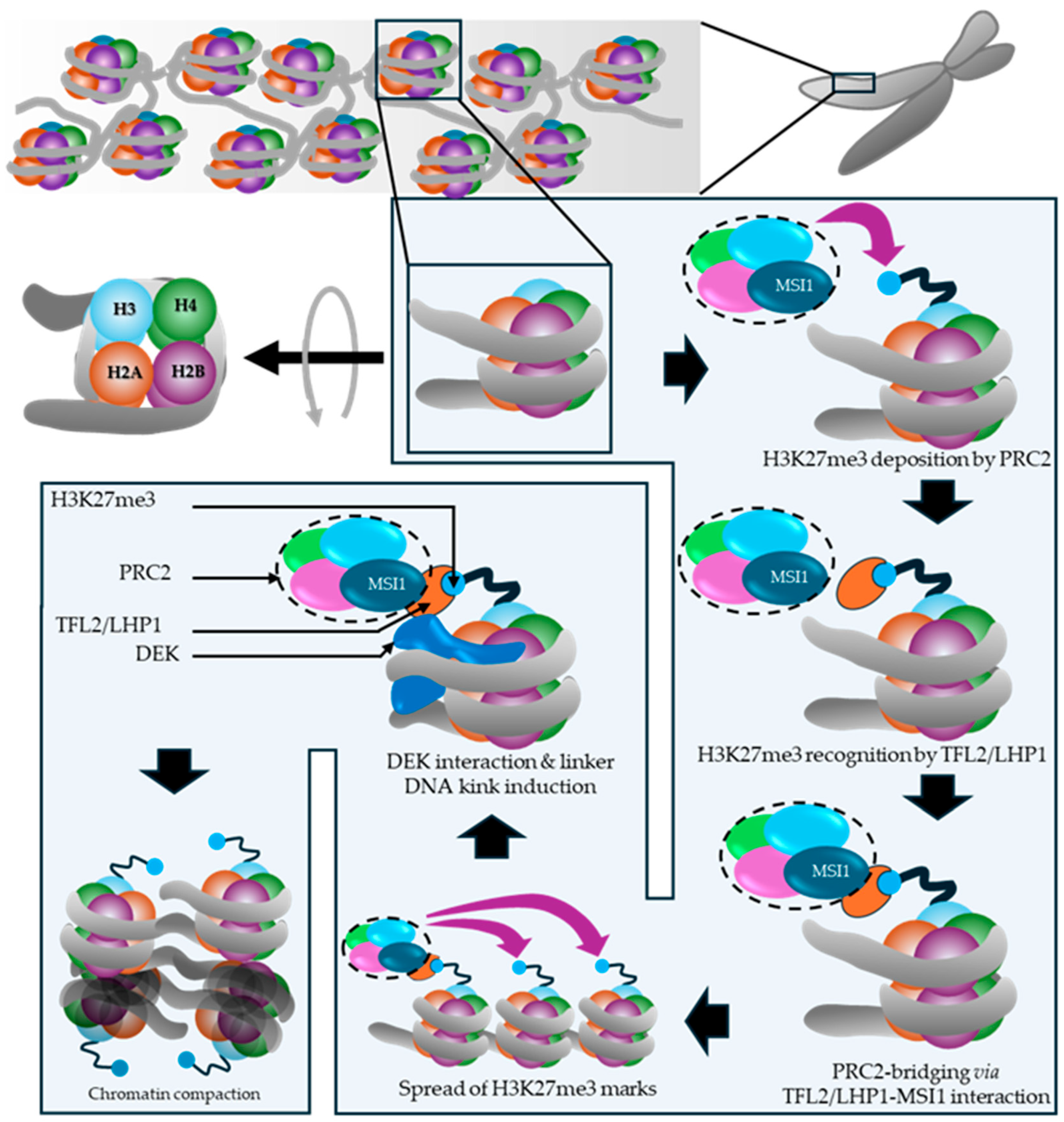 Preprints 199998 g008