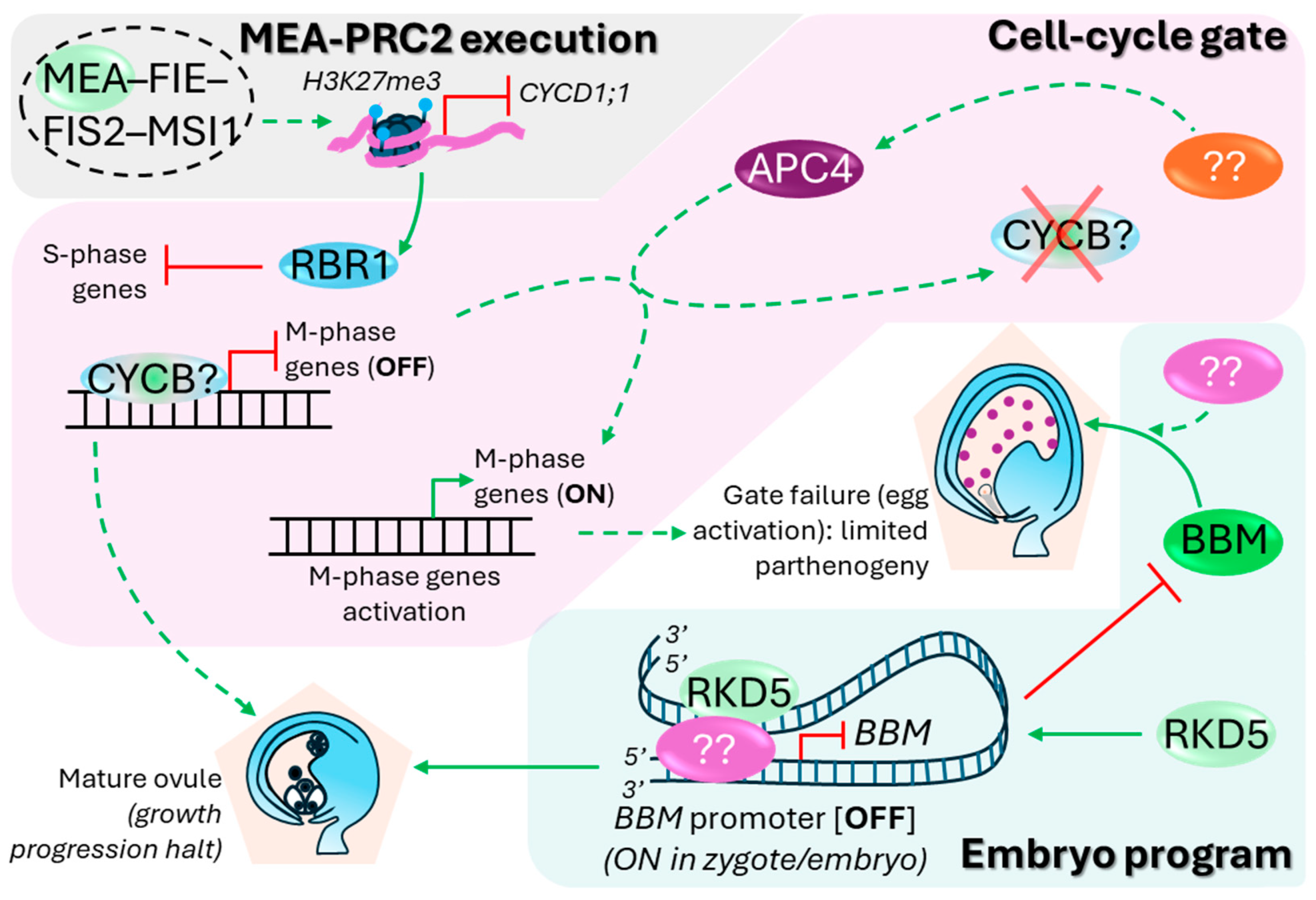 Preprints 199998 g009