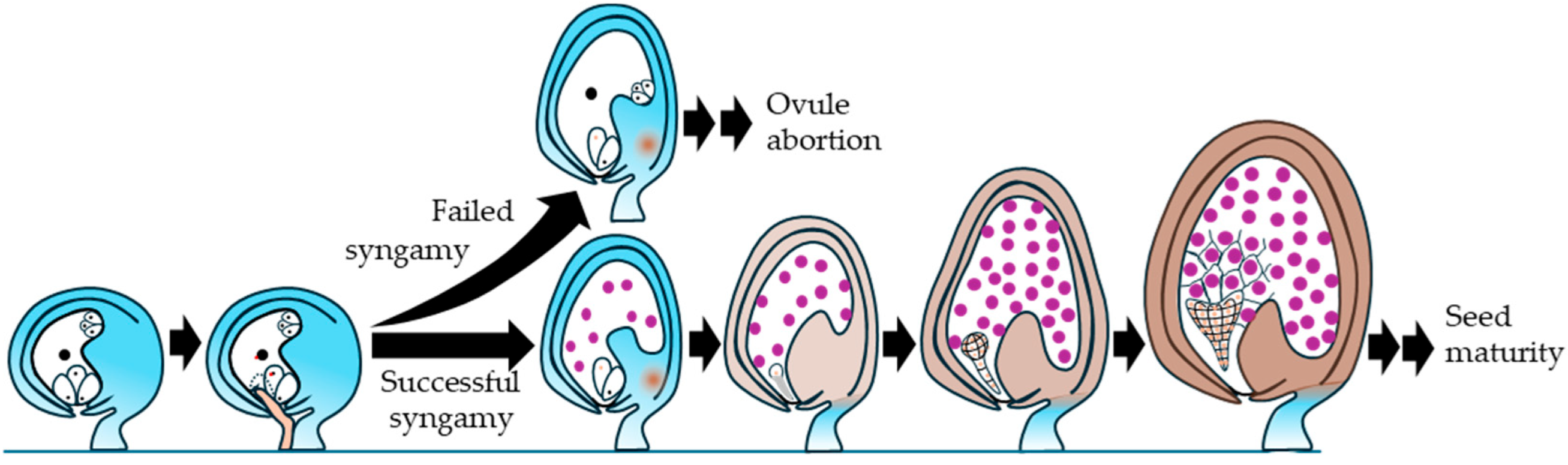 Preprints 199998 g010