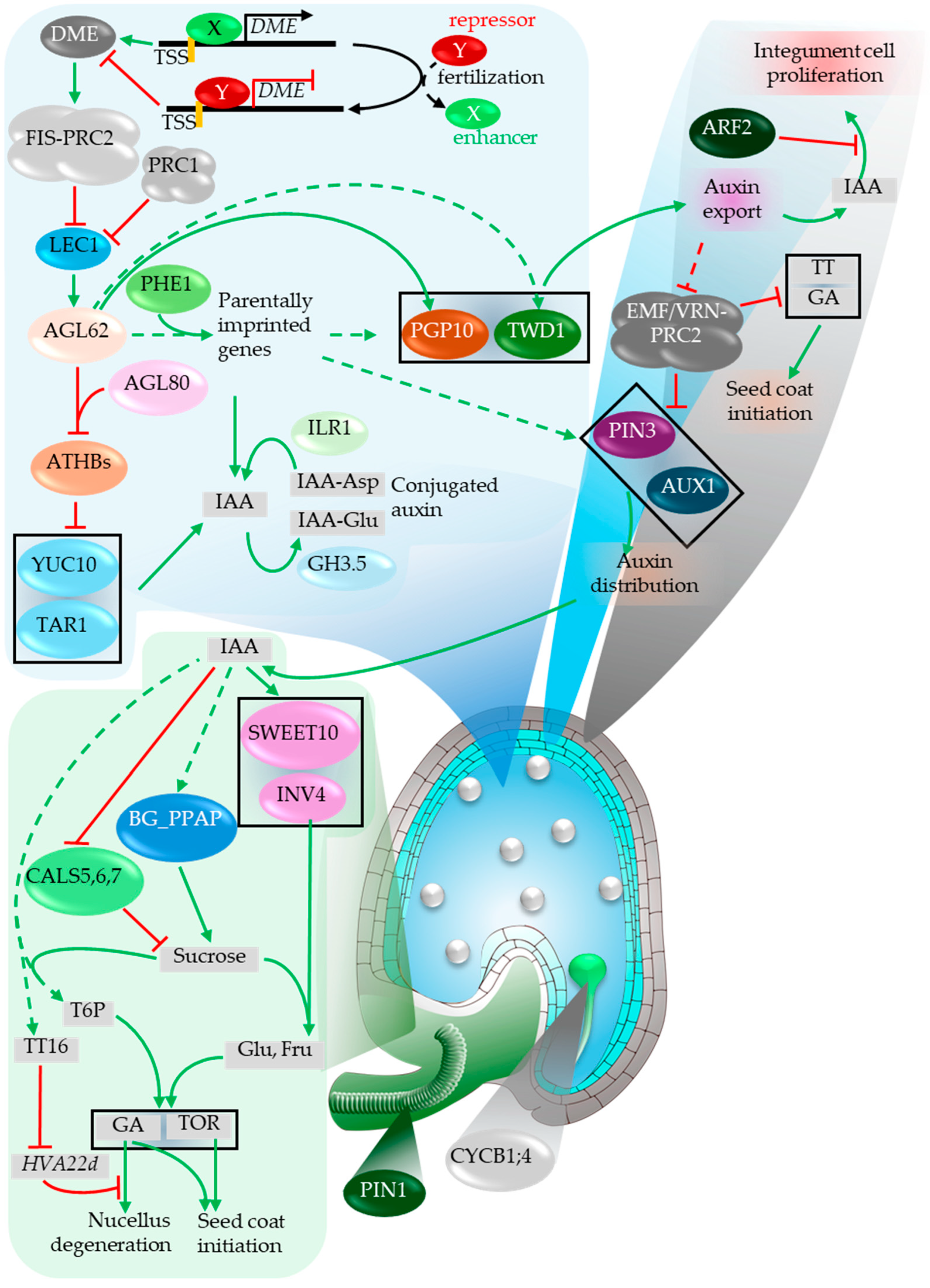 Preprints 199998 g011