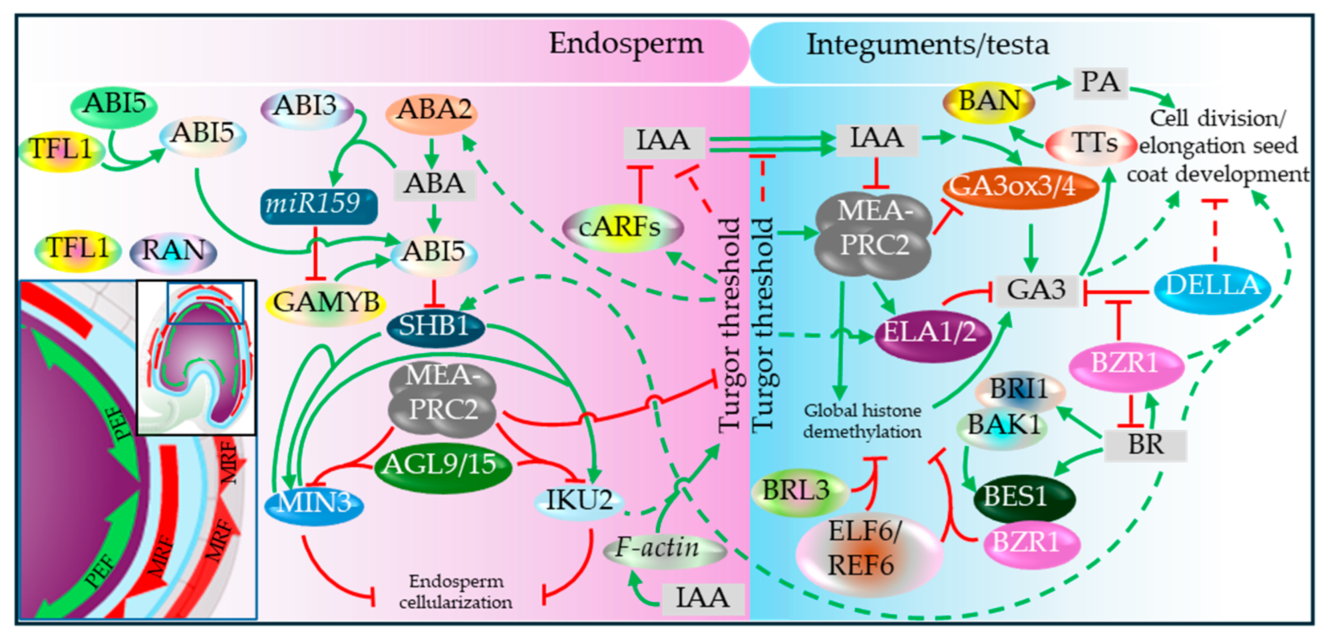 Preprints 199998 g012