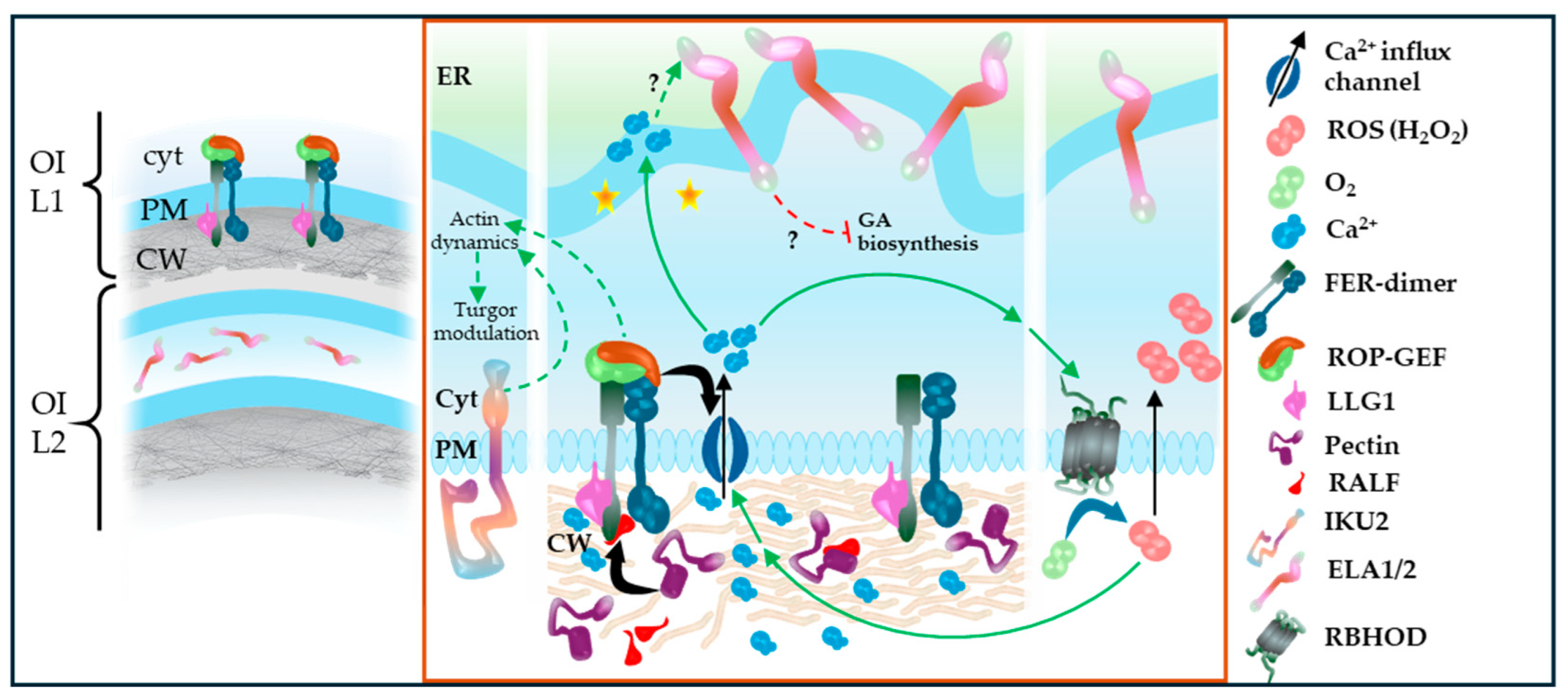 Preprints 199998 g013
