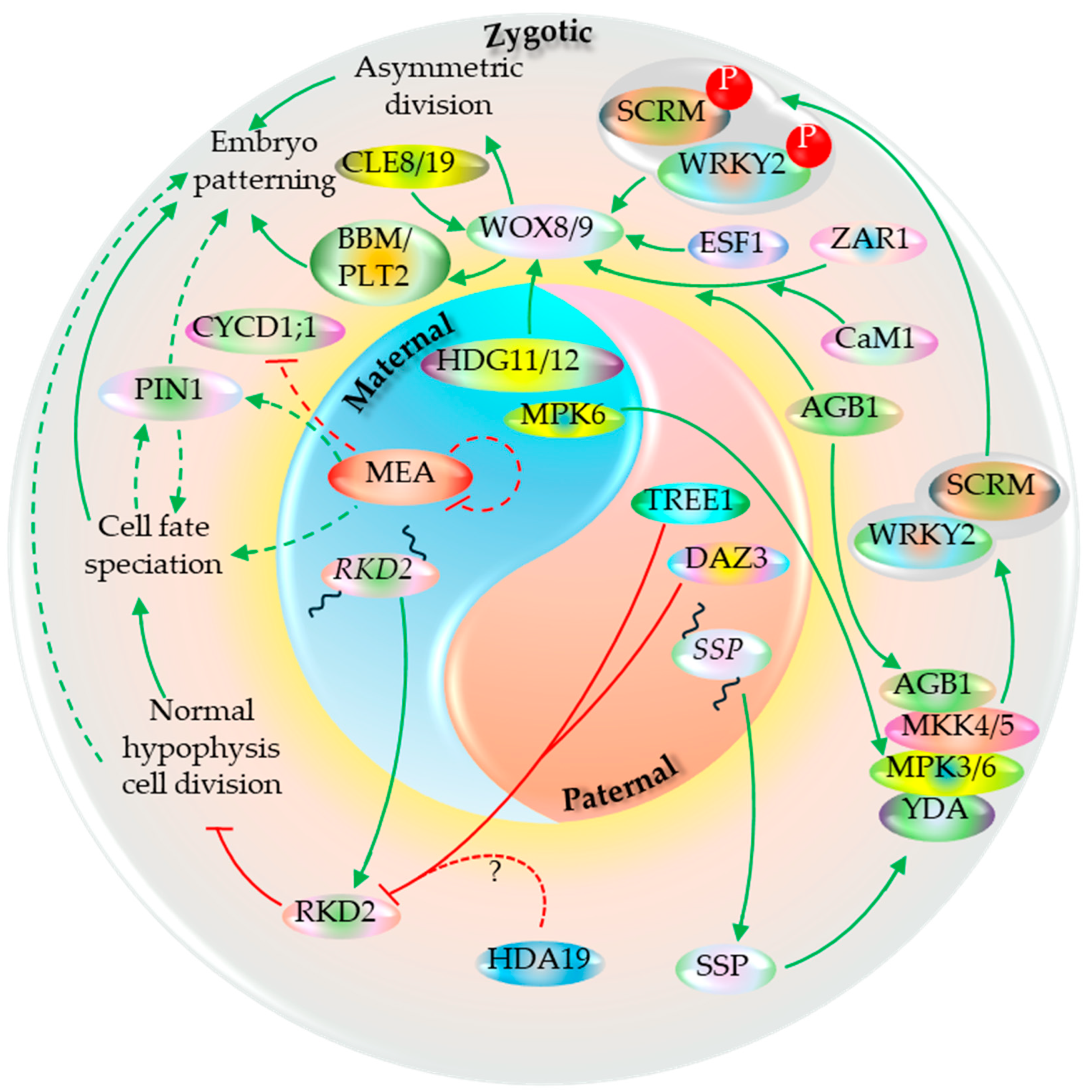 Preprints 199998 g015