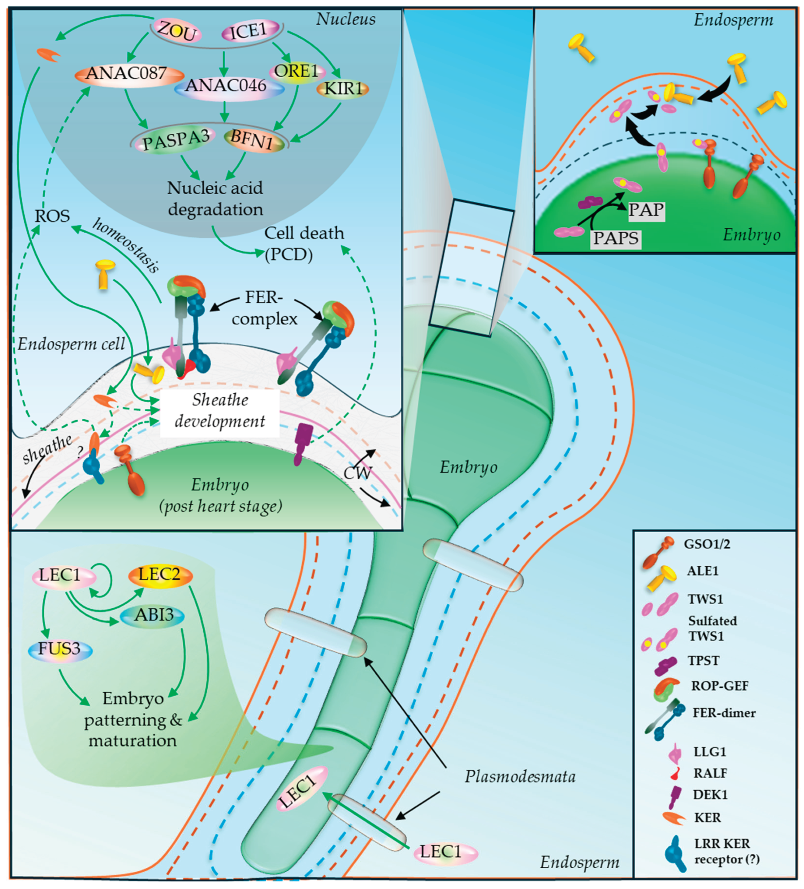 Preprints 199998 g016