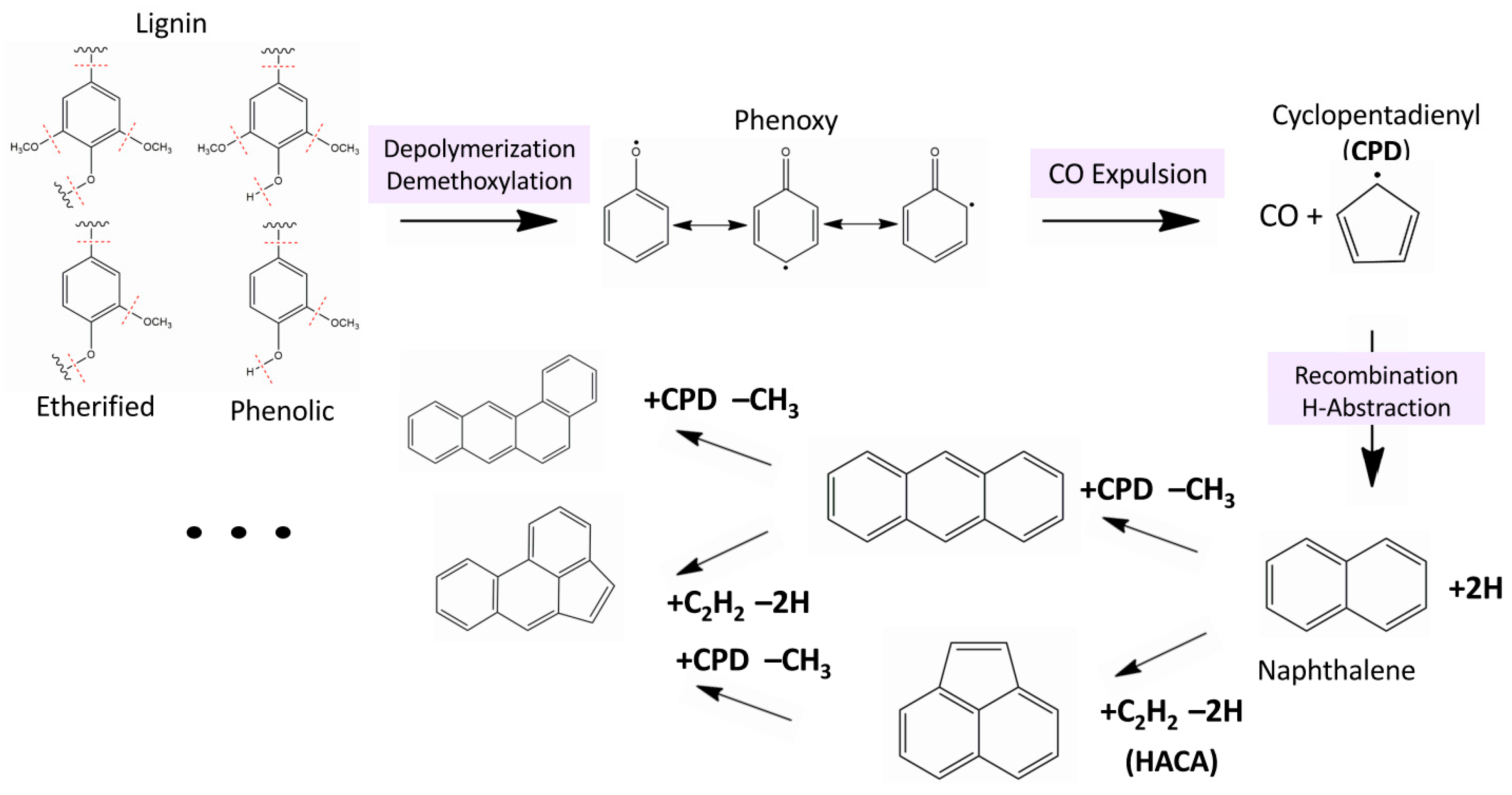 Preprints 154961 sch001